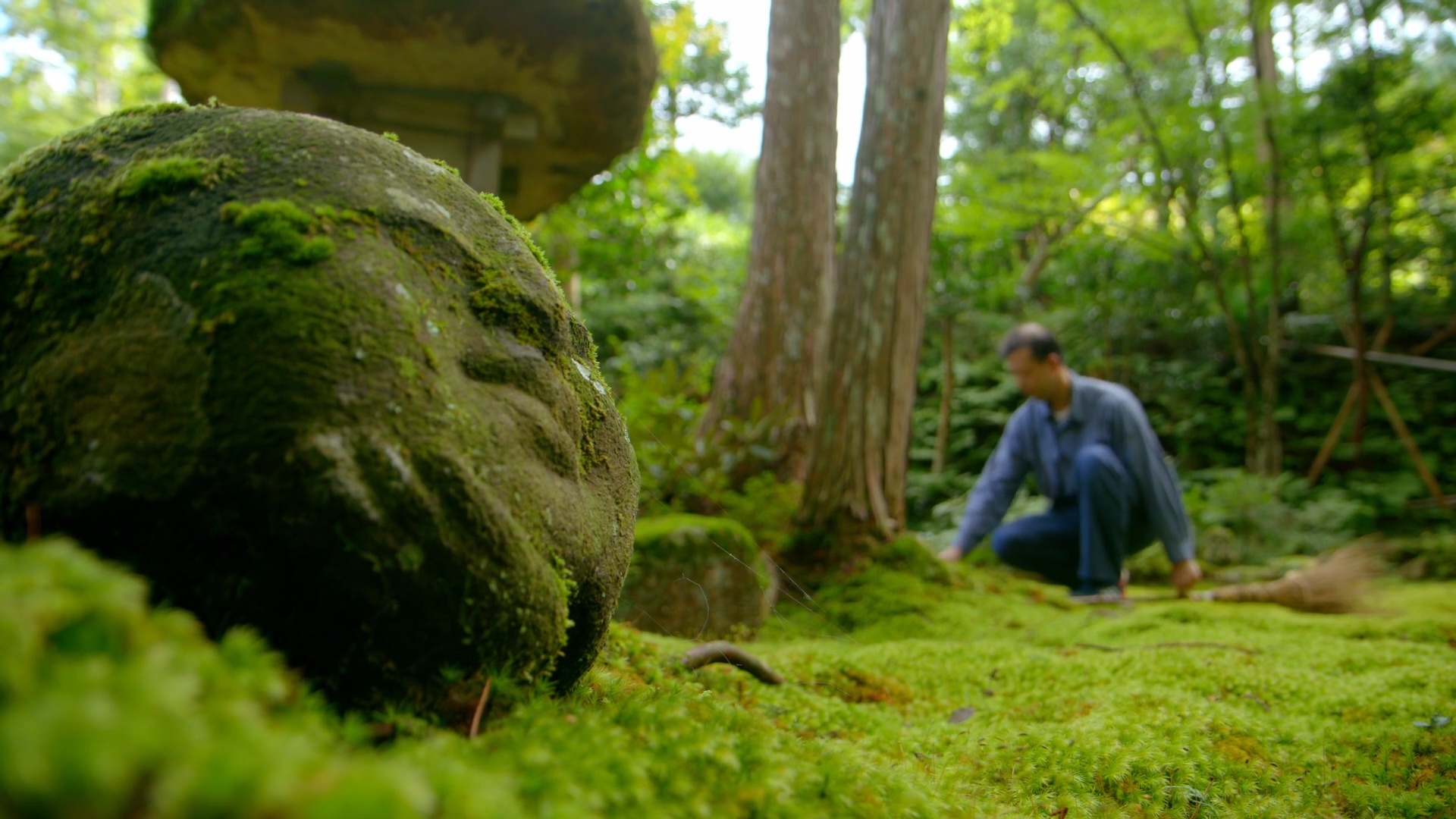 Voyage à travers les couleurs  Le Japon multicolore(2)©ZED.jpg