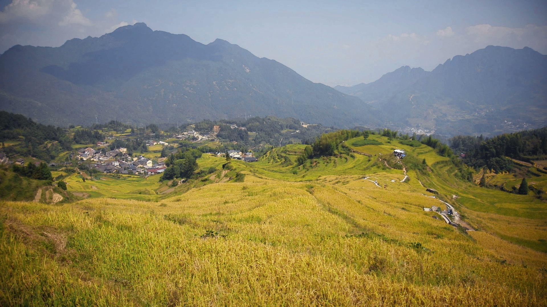 Voyage à travers les couleurs  La Chine en jaune (1).jpeg