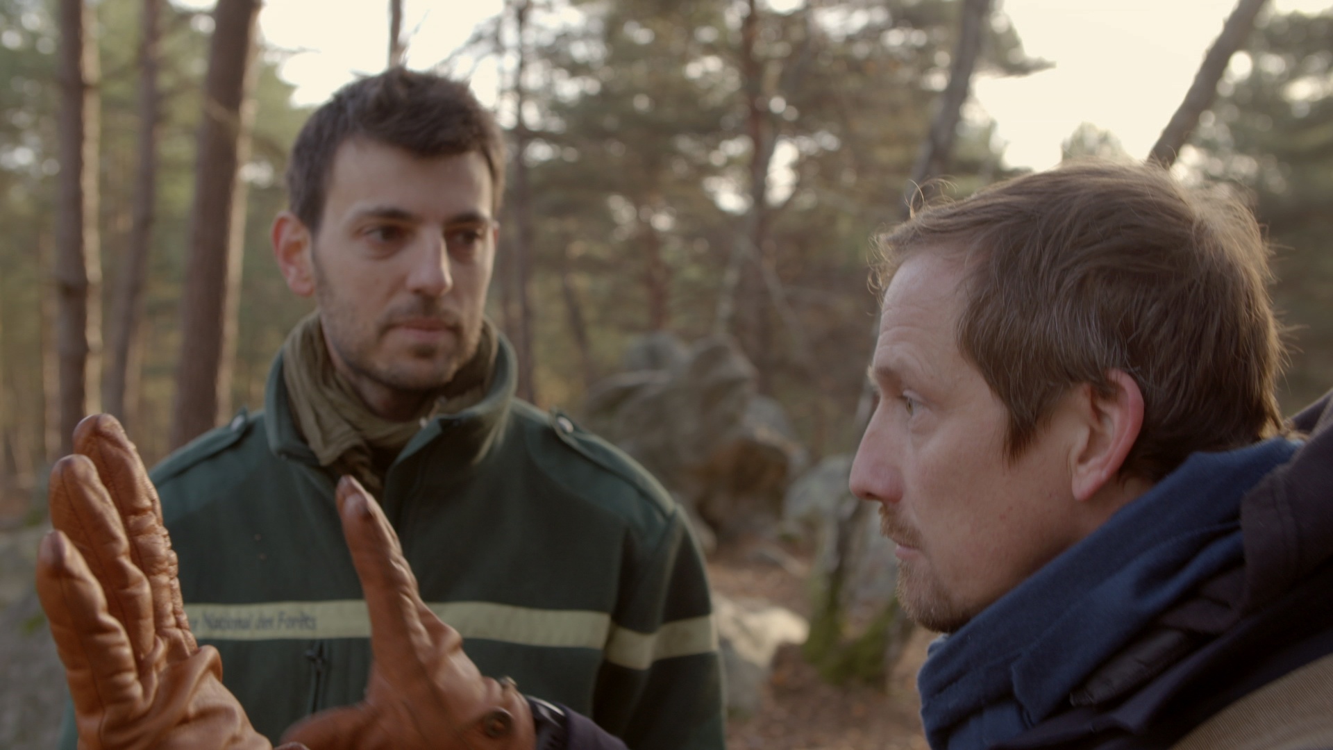 L'homme des bois  En forêt de Fontainebleau (1).jpg