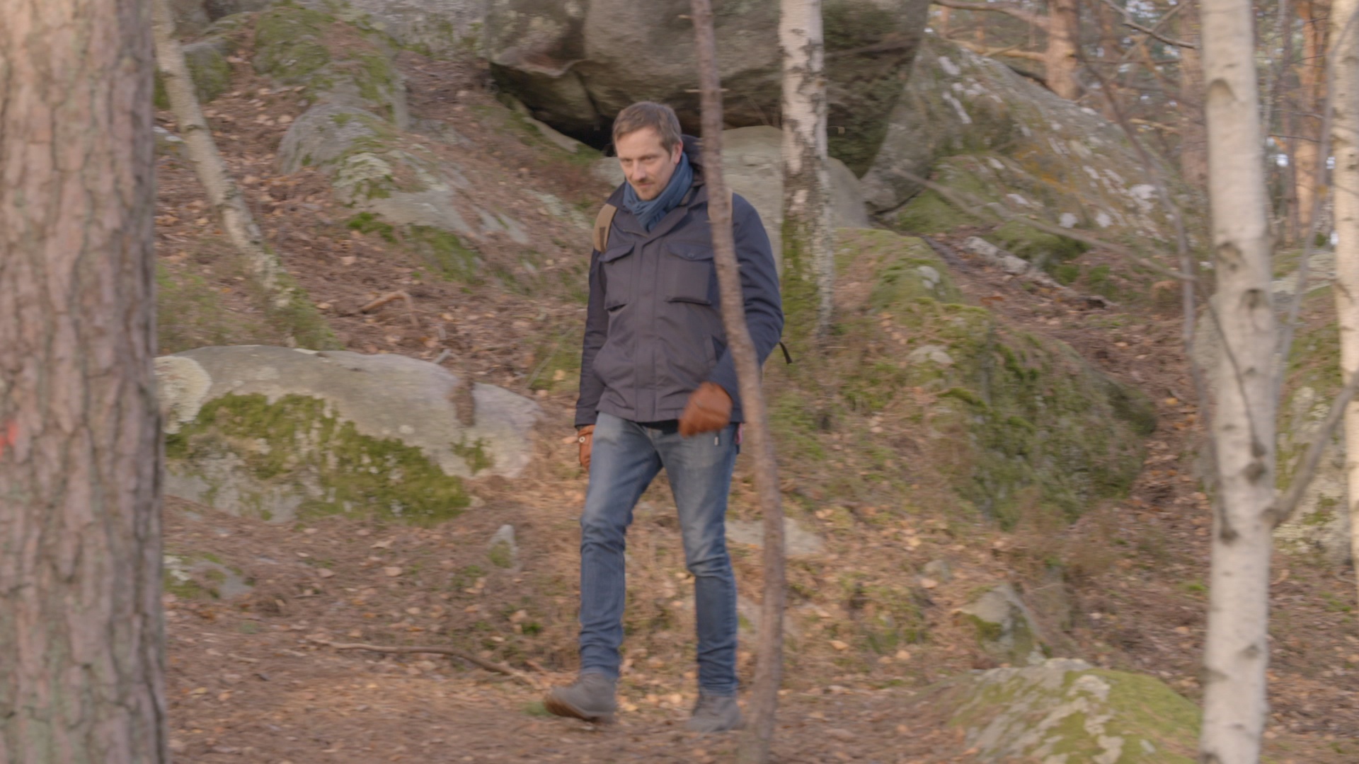 L'homme des bois  En forêt de Fontainebleau (2).jpg