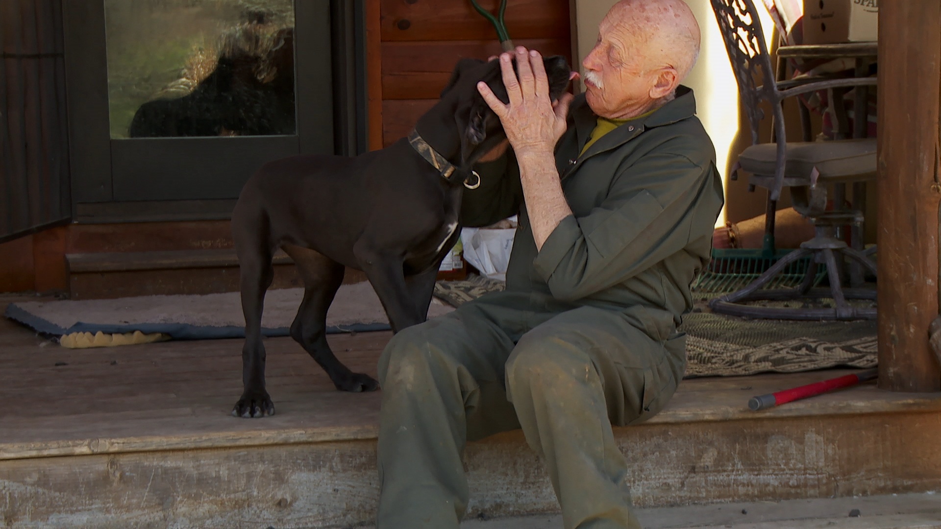 L'incroyable Dr Pol  Un dogue allemand à la fois (2).JPG