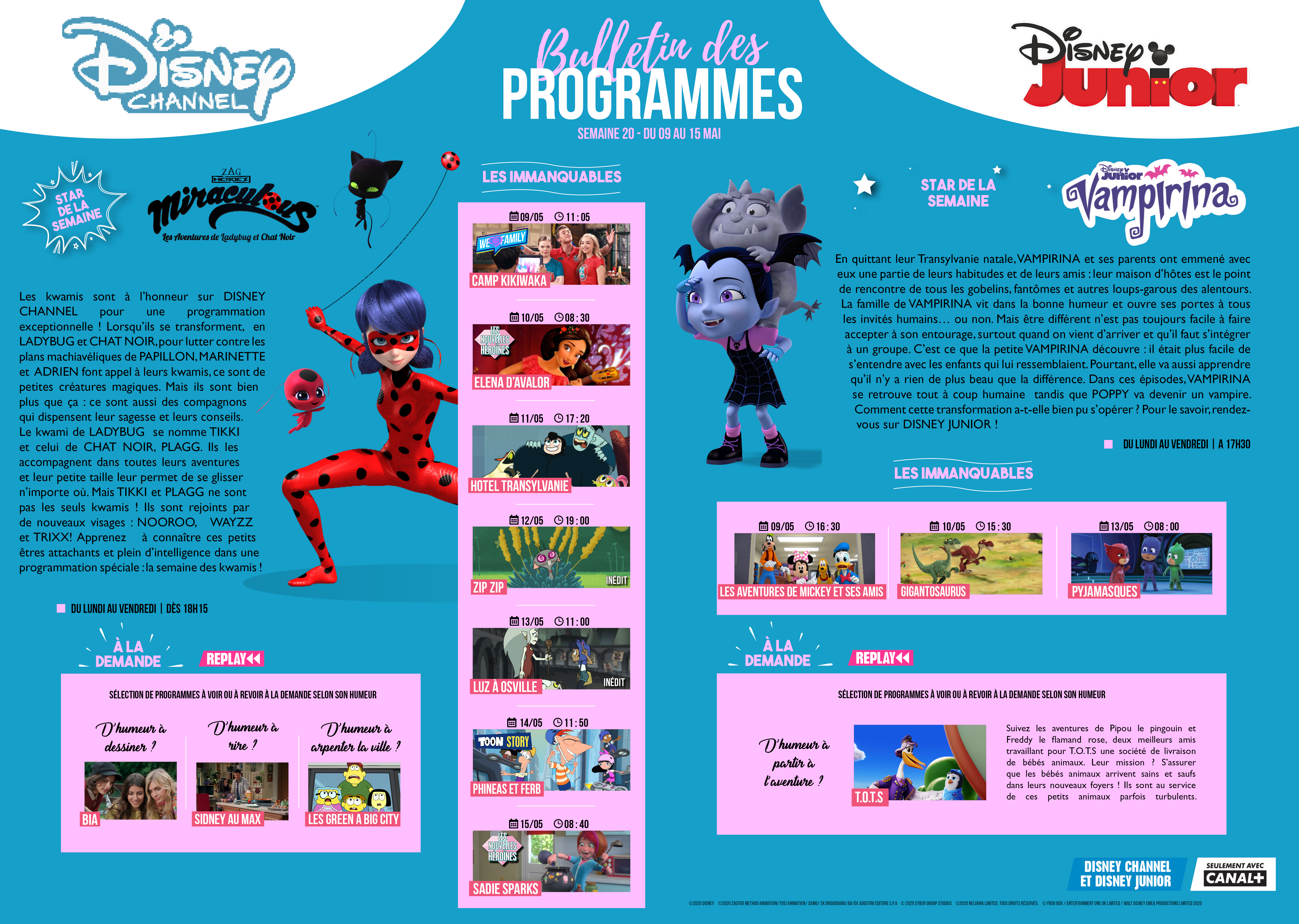 Semaine_20_Bulletin.png
