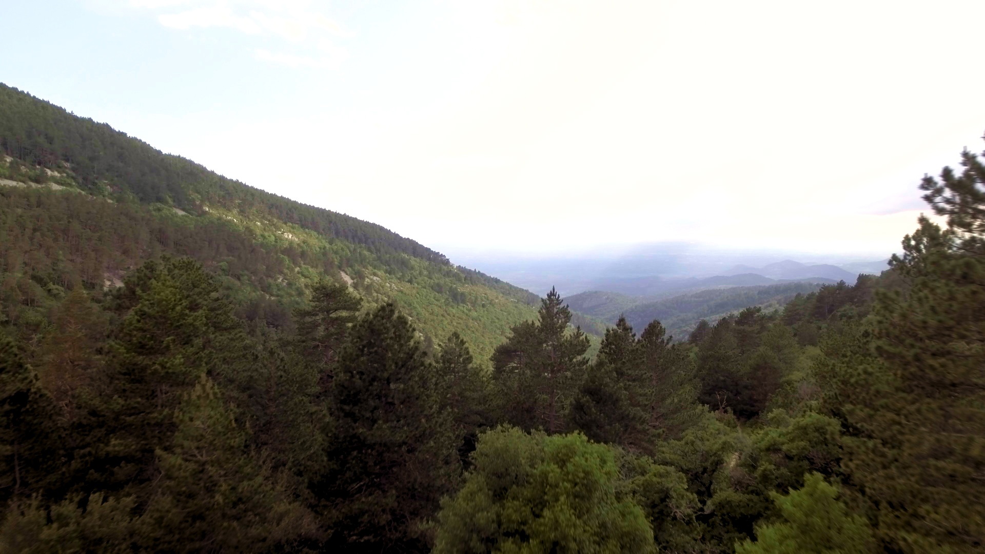 Sur les sentiers de l'Histoire  En Provence Gallo-Romaine (1).jpg