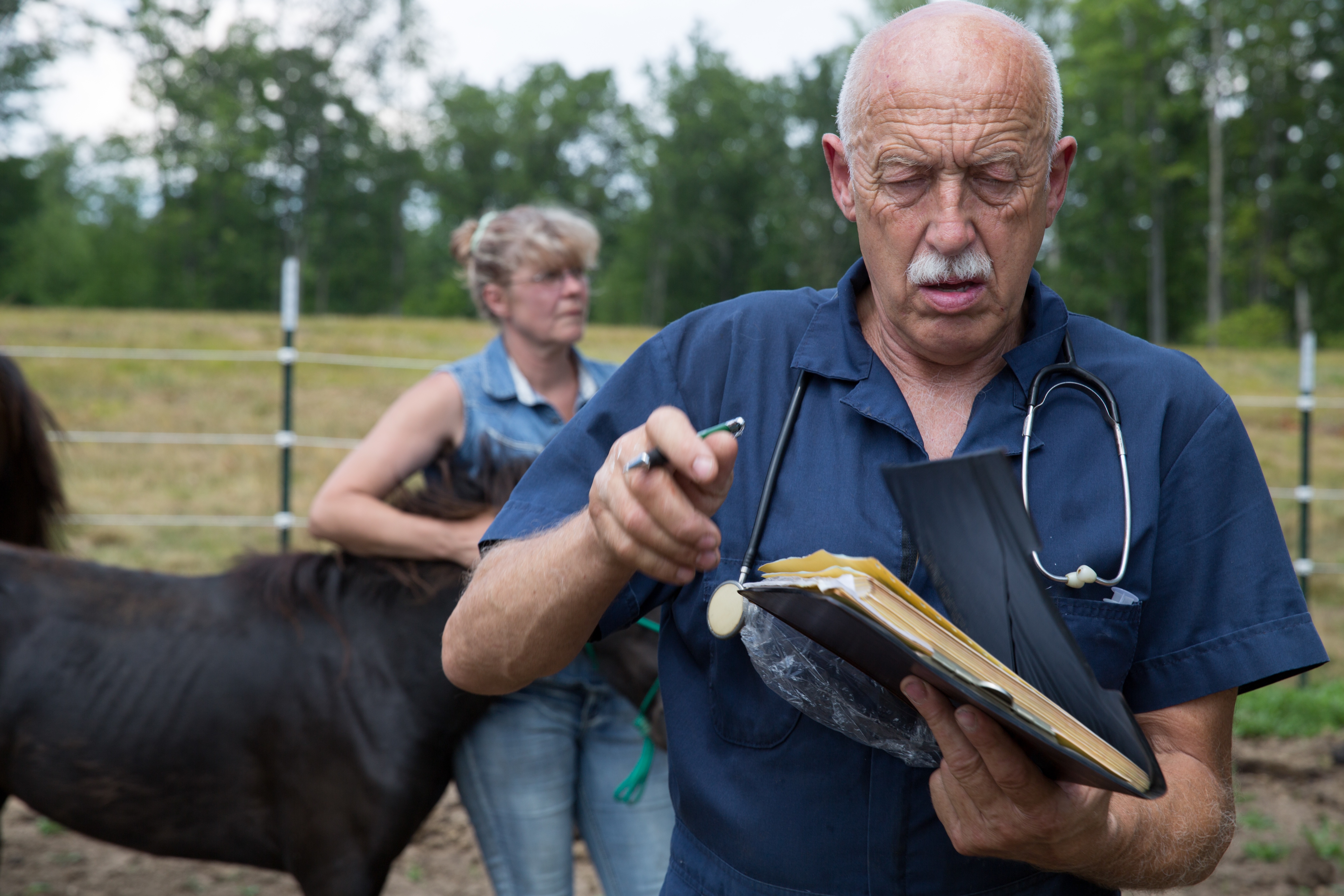 L'incroyable Dr Pol  Des taureaux en colère (1).jpg