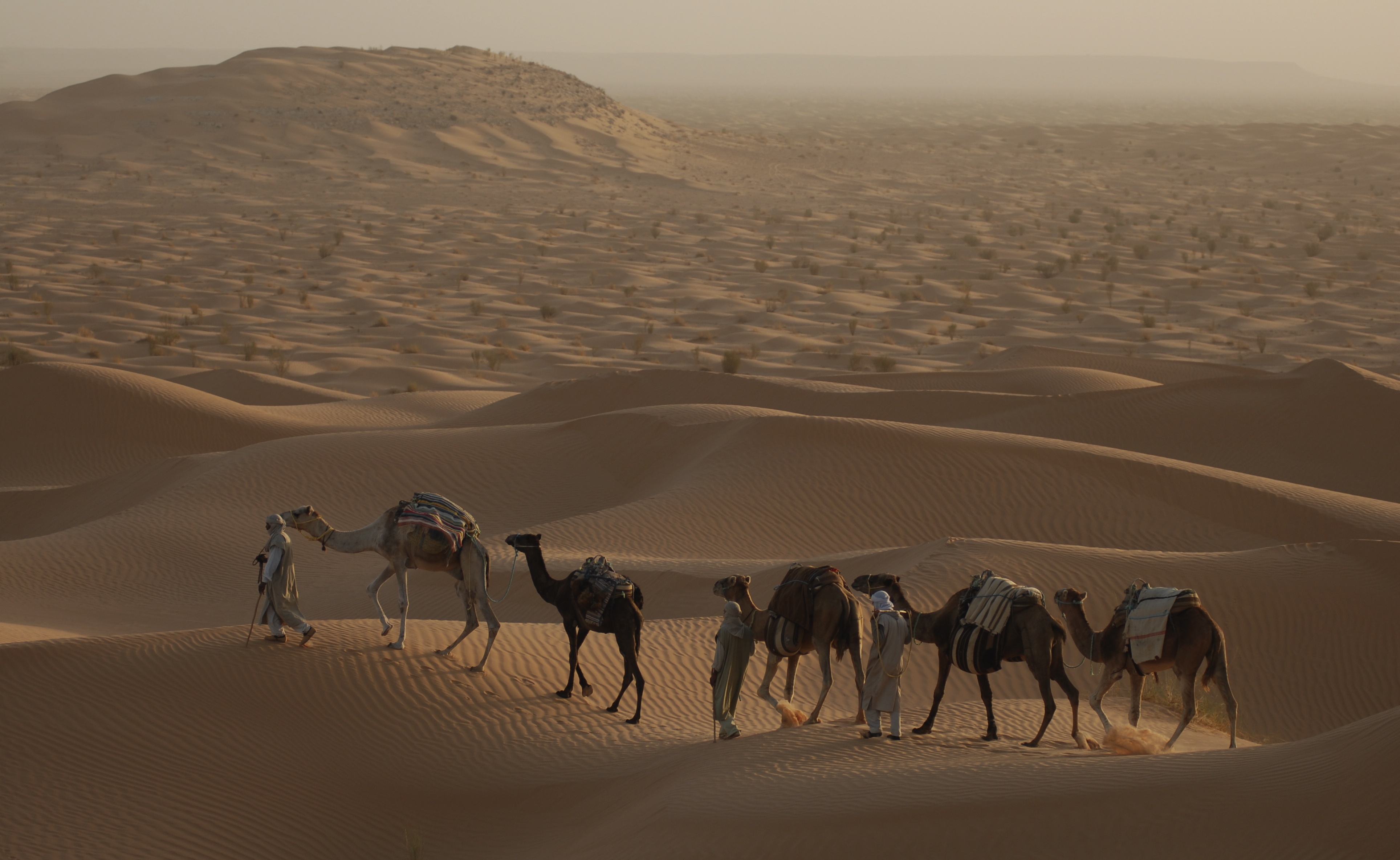 Destination wild Afrique Maroc (1).jpg