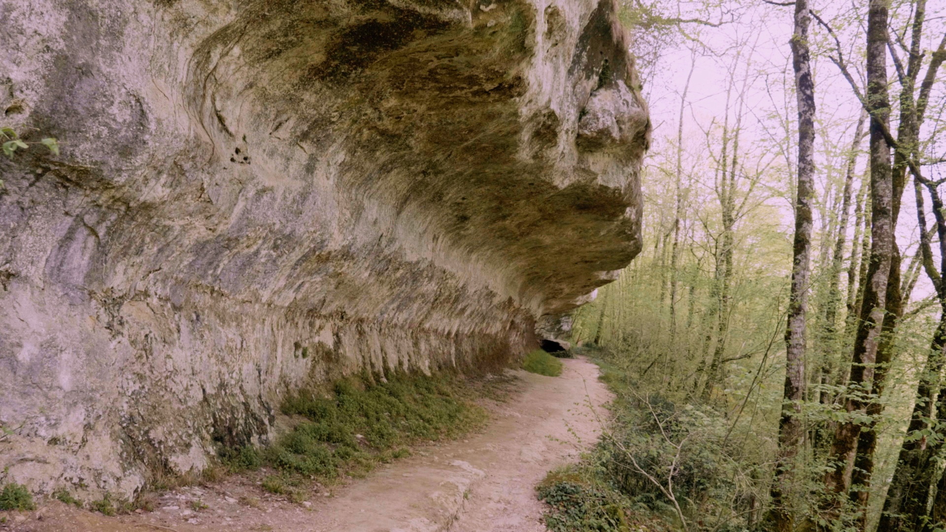 Sur les sentiers de l'histoire -Vallée de l'homme ©GEDEON Programmes.jpg