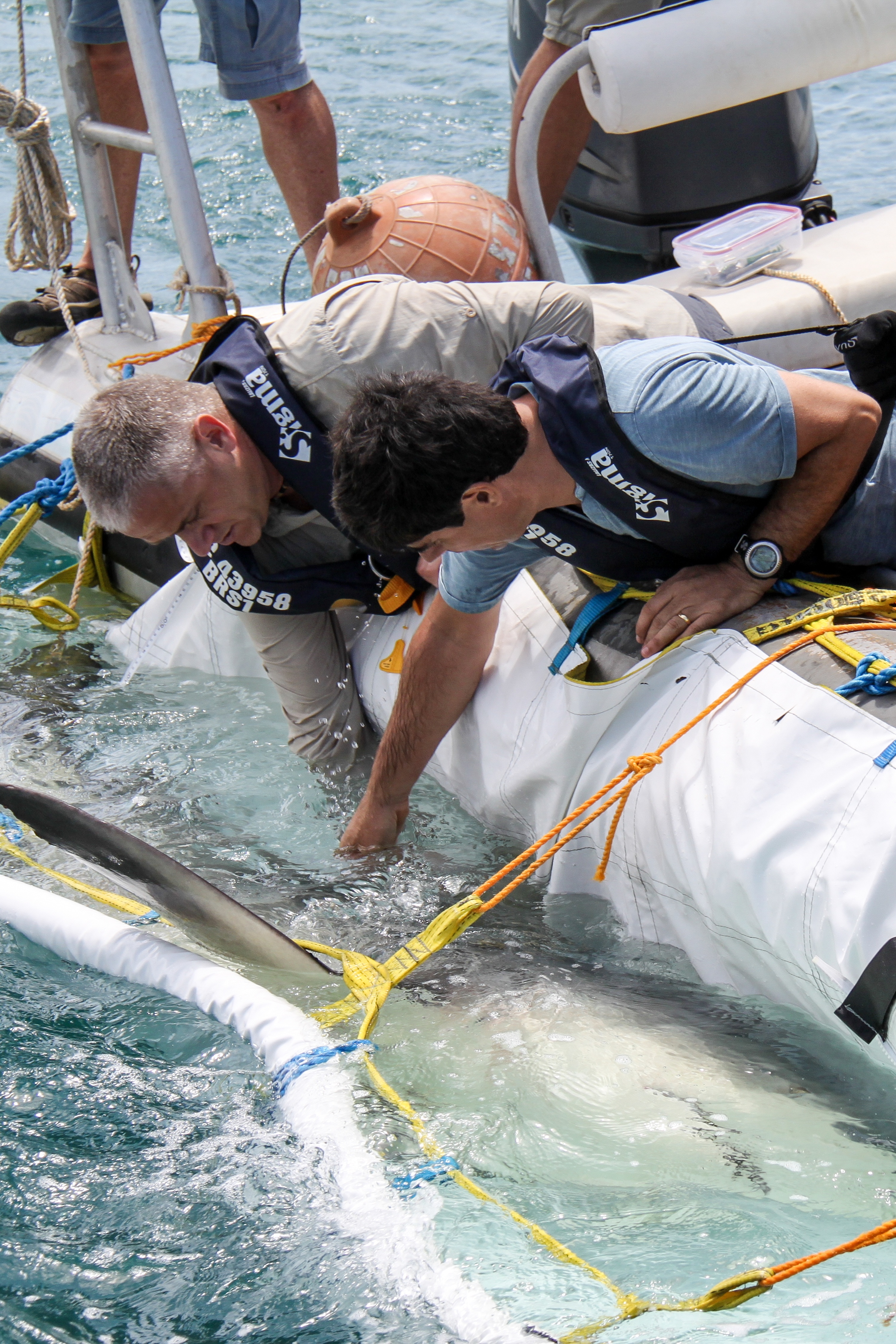 OperationSharklift_01.jpg