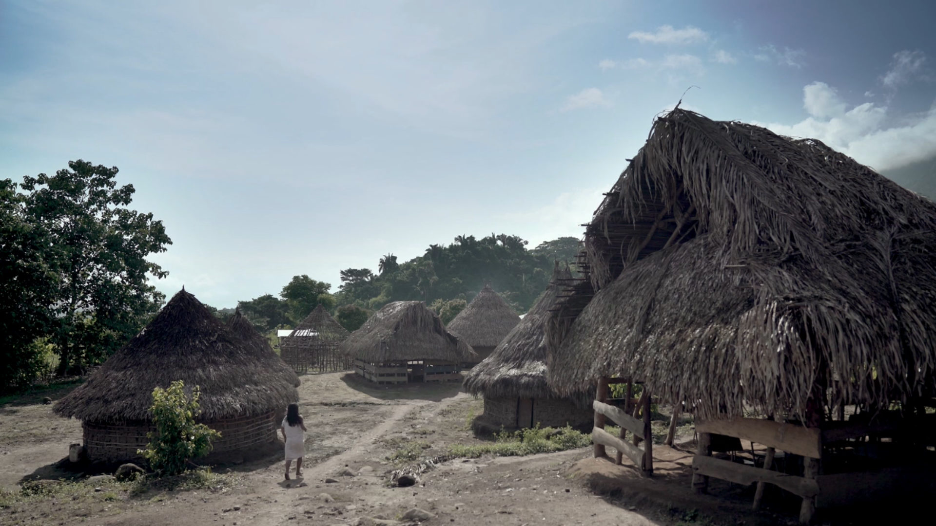 Voyage à travers les couleurs  La Colombie en vert (1).png
