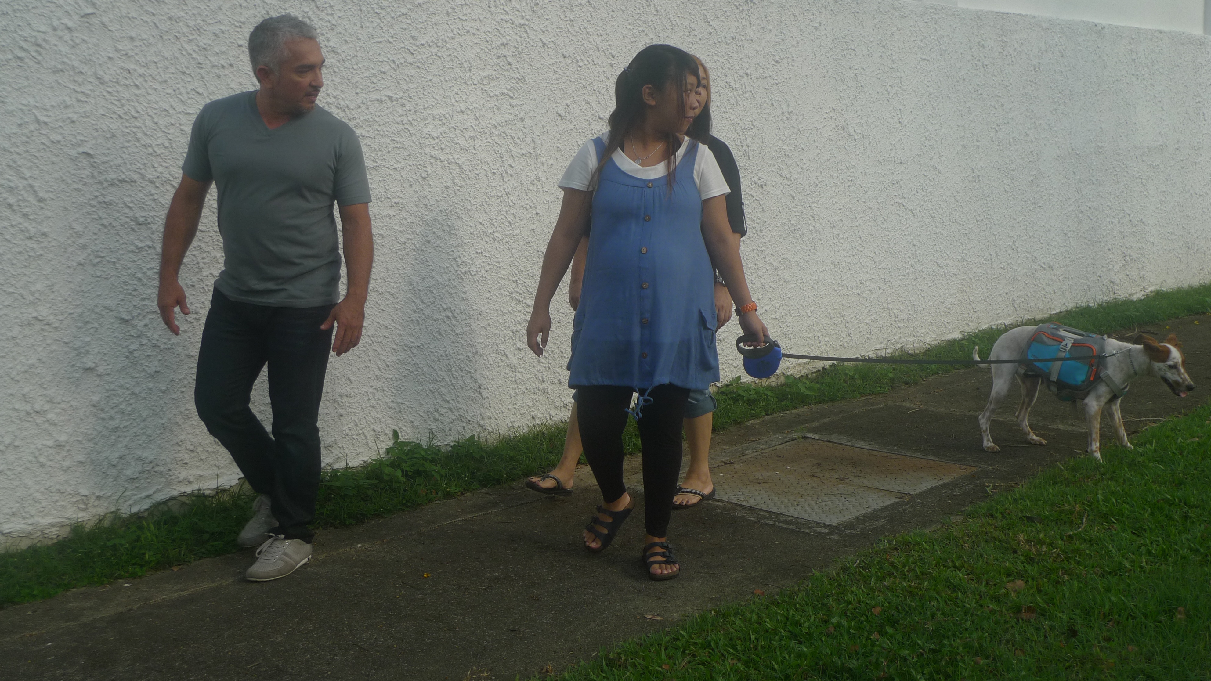 SOS Cesar  Le chien ou le bébé.jpg