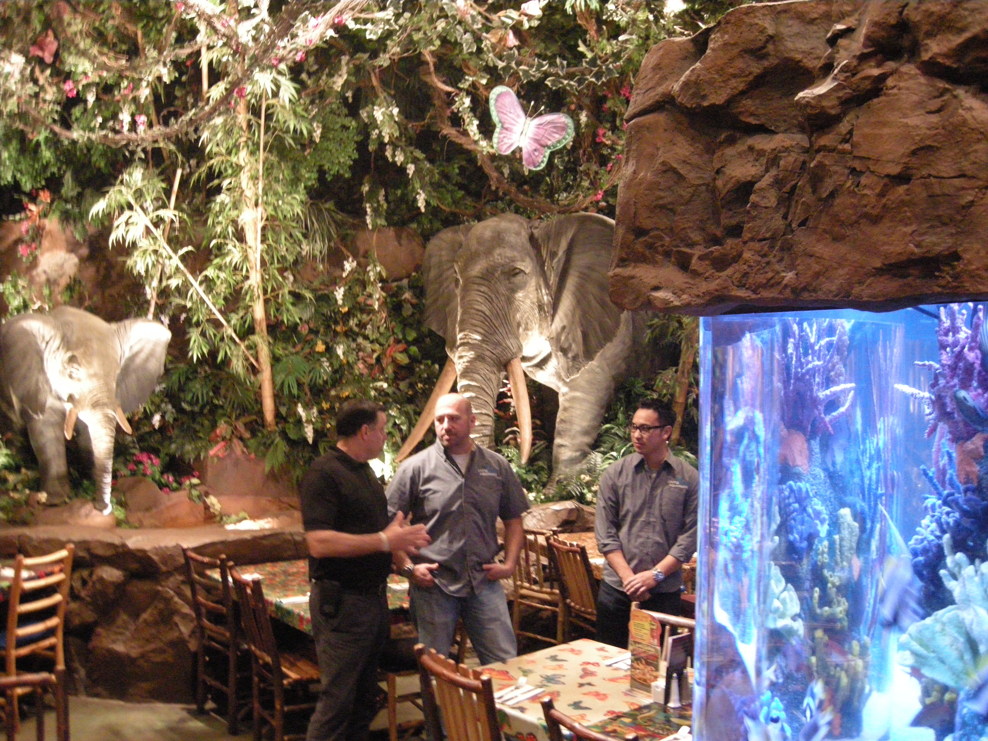 Les_rois_des_aquariums__un_gros_client (2).JPG
