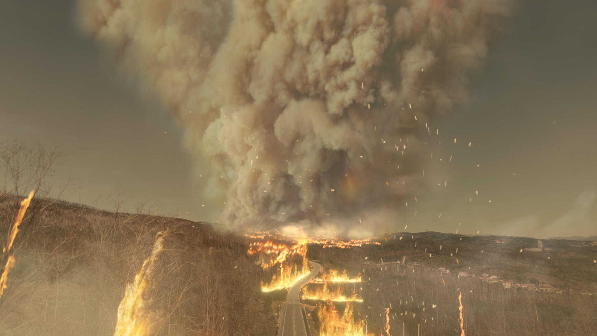 Au cœur du désastre  Feu de l’enfer au Portugal.jpg