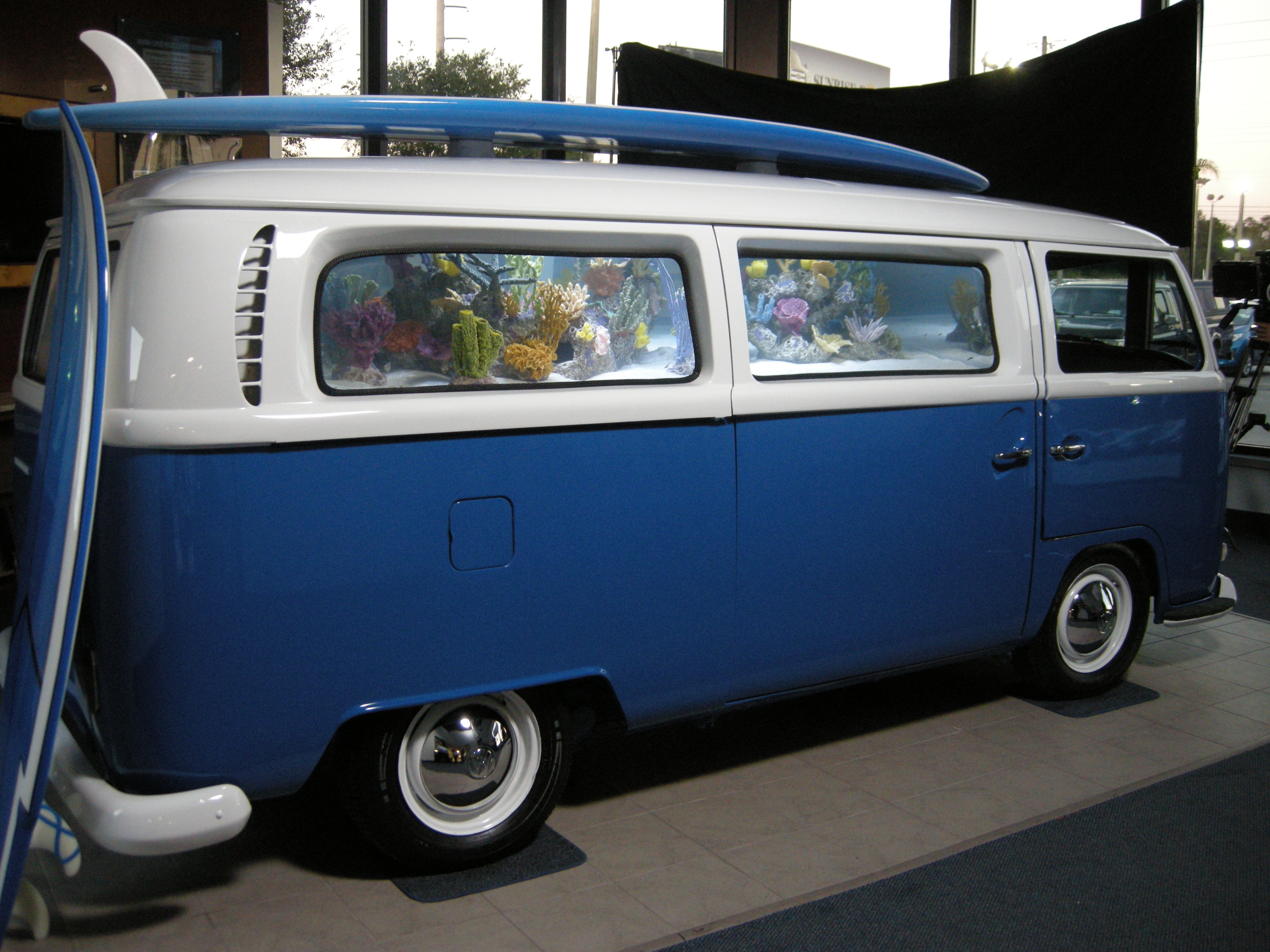 Les_rois_des_aquariums_-_Laqua-van (1).JPG