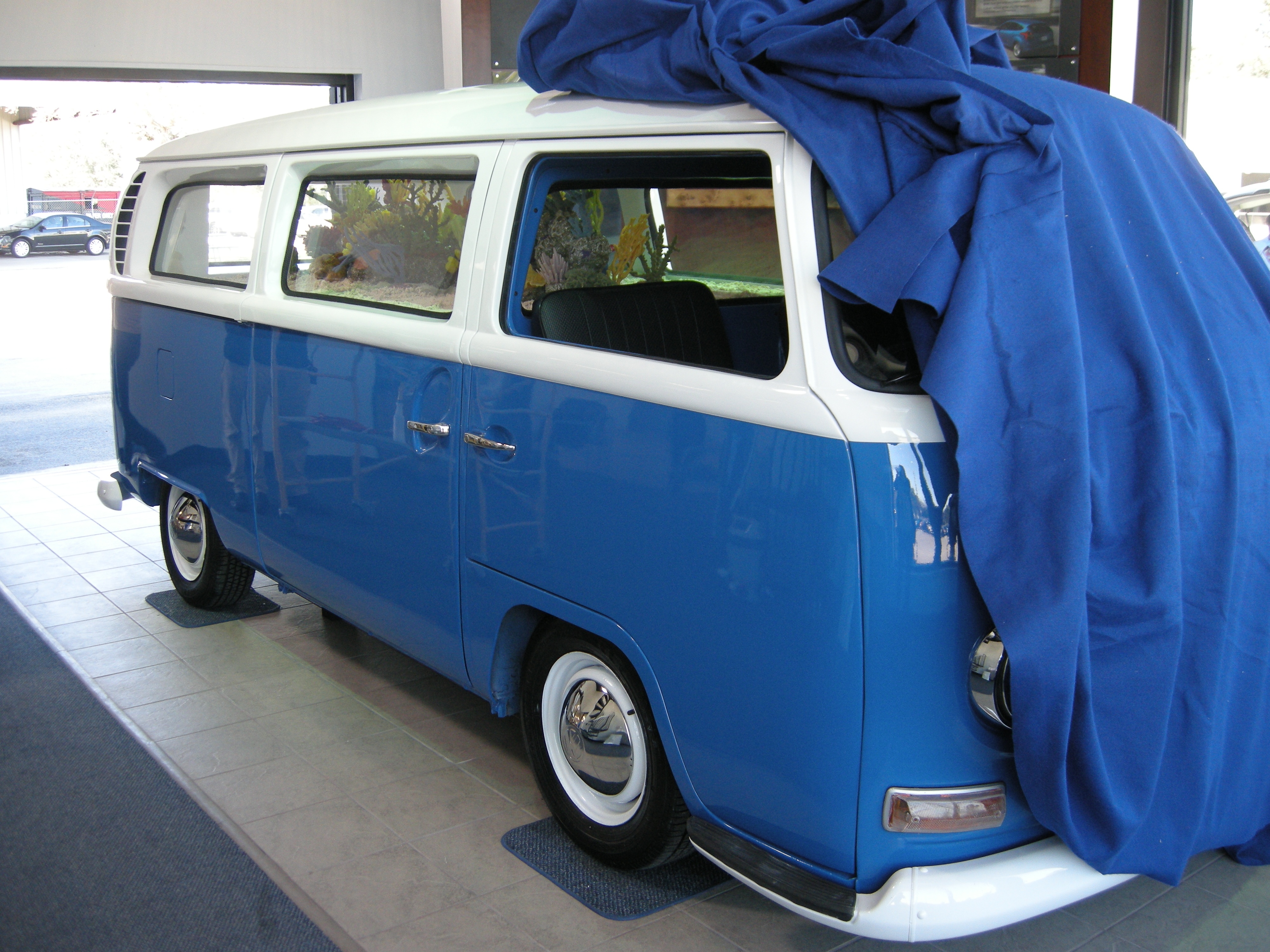 Les_rois_des_aquariums_-_Laqua-van.JPG
