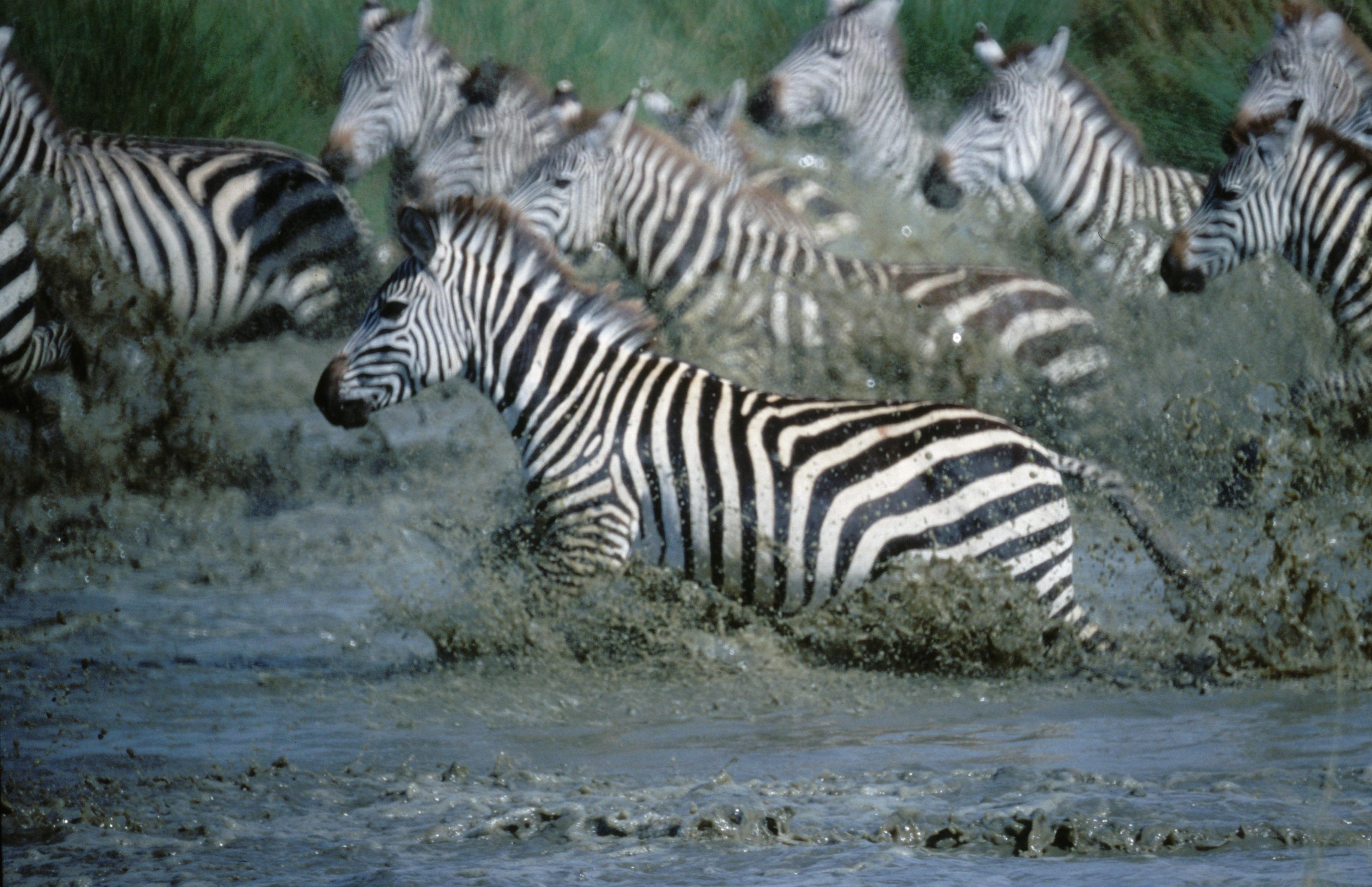 EquatorsWildSecrets_Ep103_04.jpg