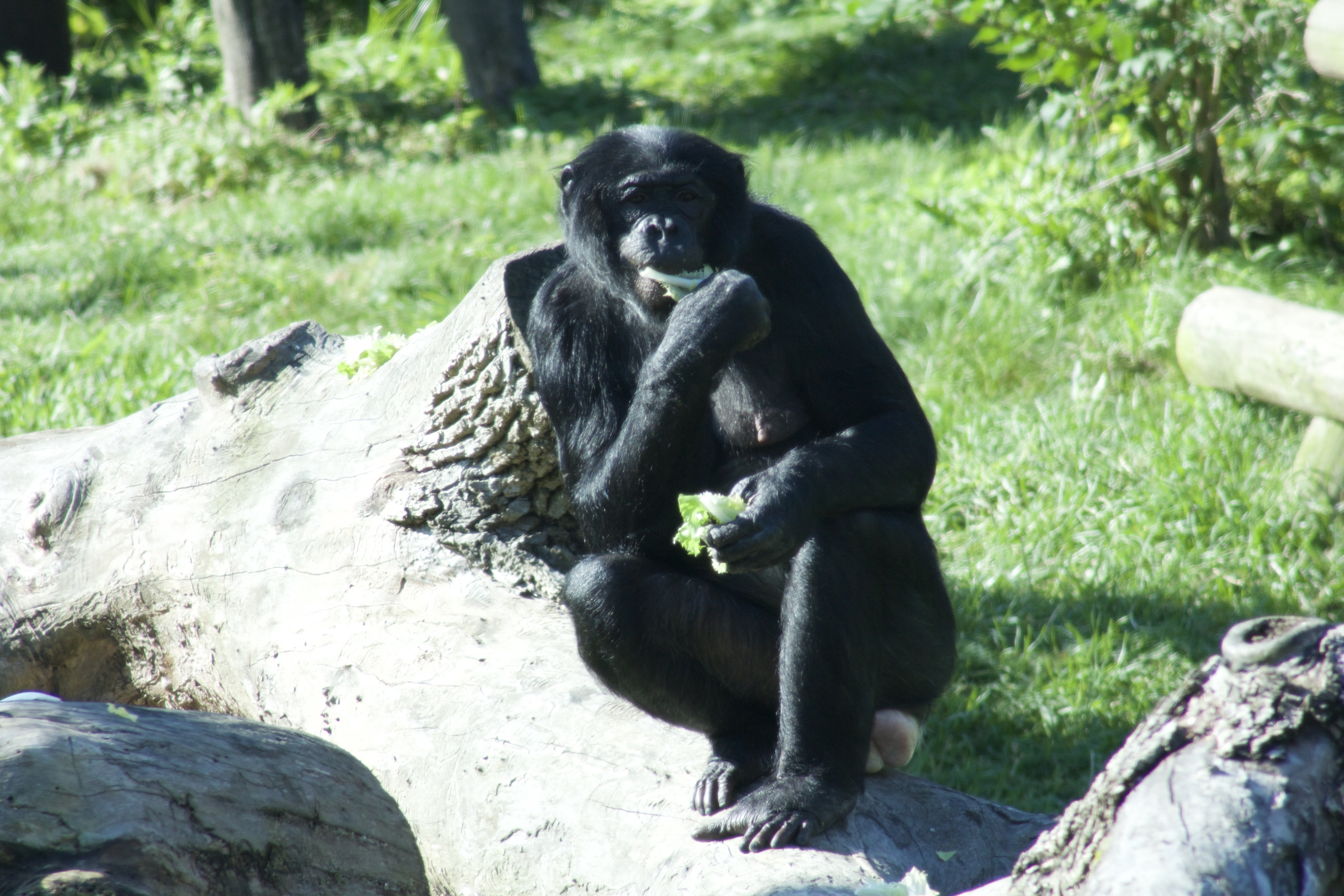 SecretsOfTheZoo_Ep205_02.jpg