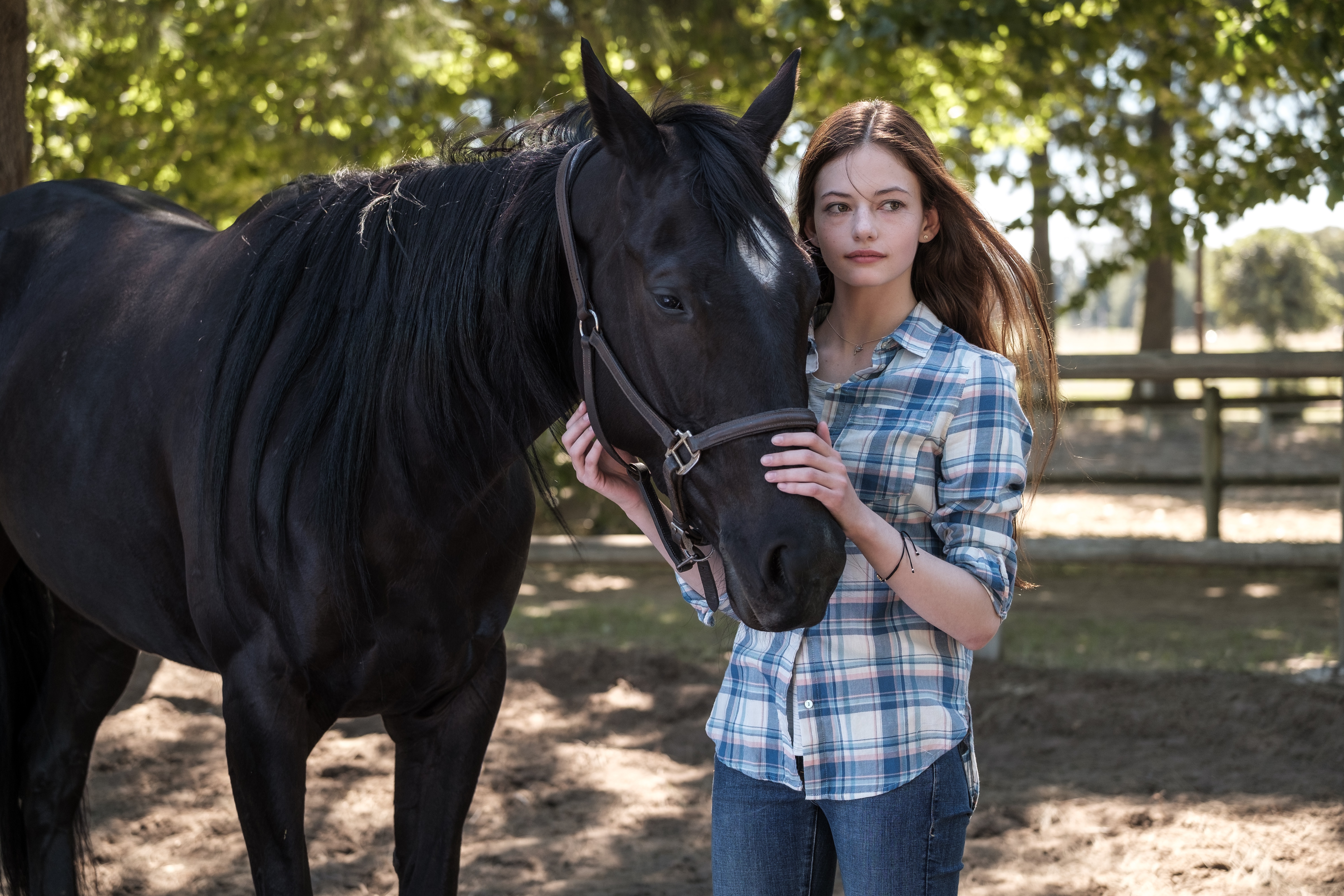 BLACK BEAUTY_2.jpg.jpeg