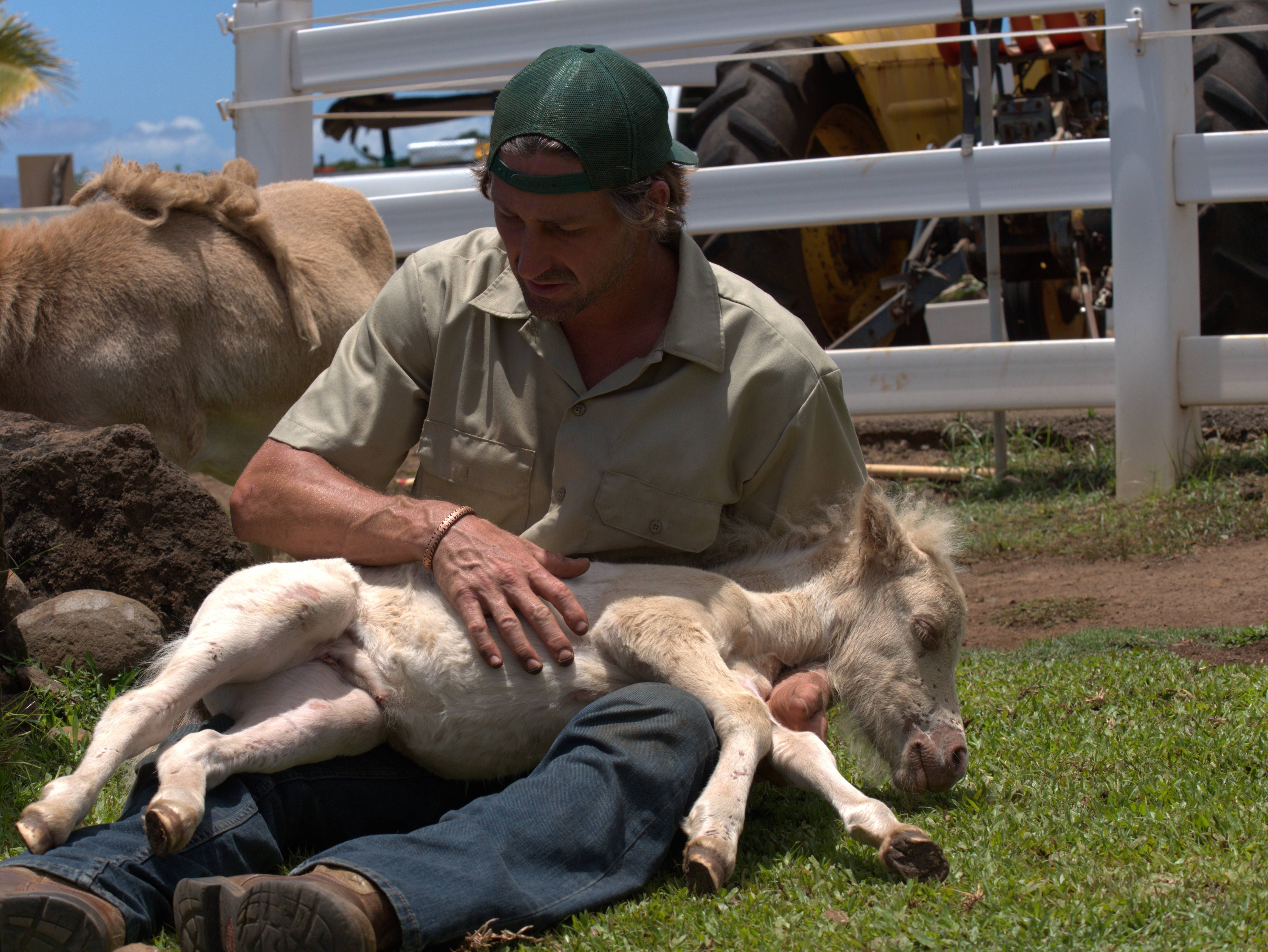 Les aventures du Dr. Buckeye Bottoms  Cracher n’est pas jouer (1).jpg