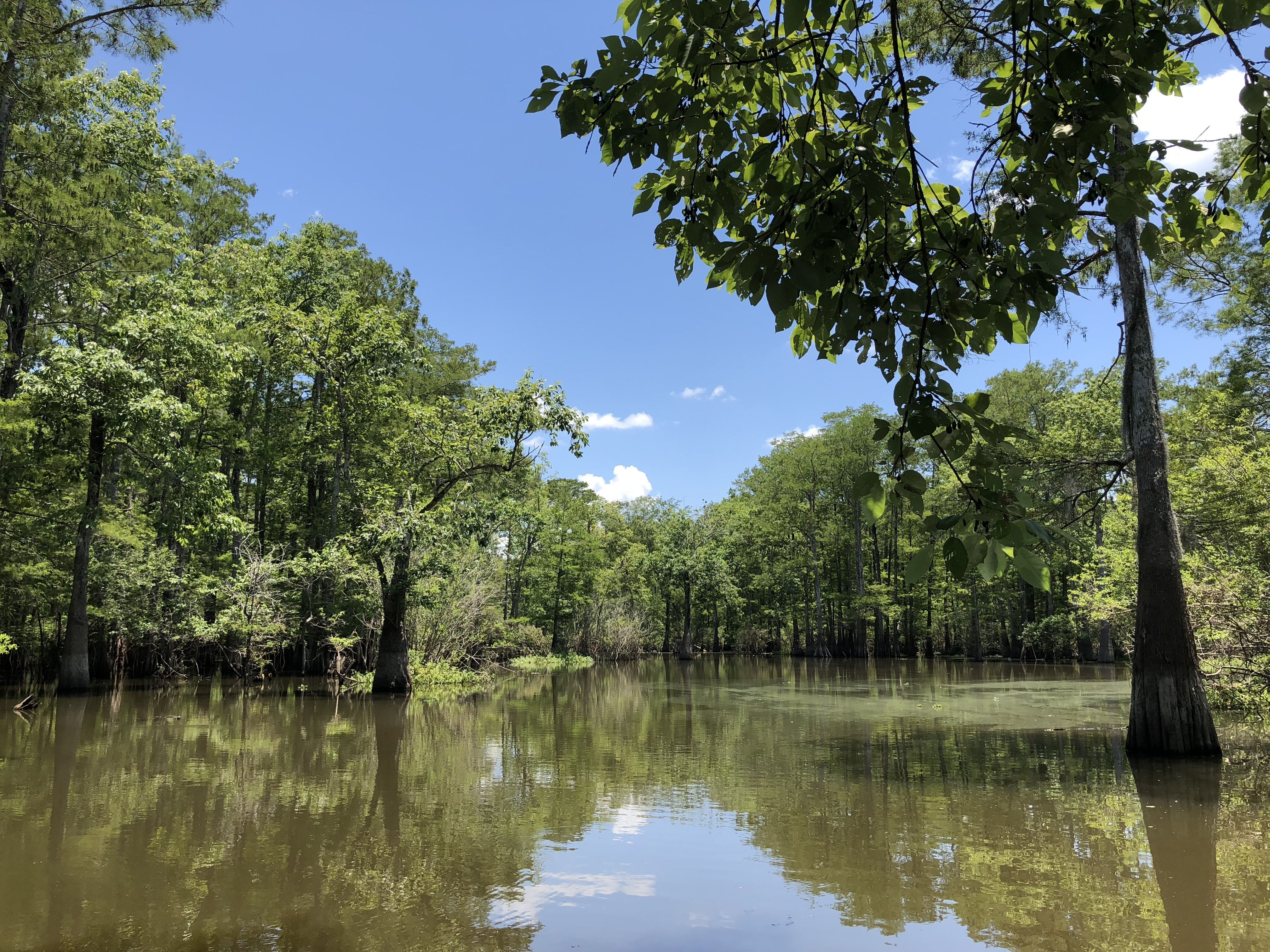 Au bout c'est la mer  Le Mississippi (1).JPG