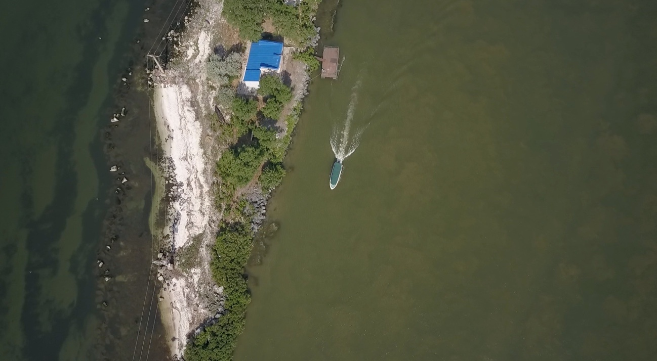 Au bout c'est la mer  Le Danube (2).jpeg