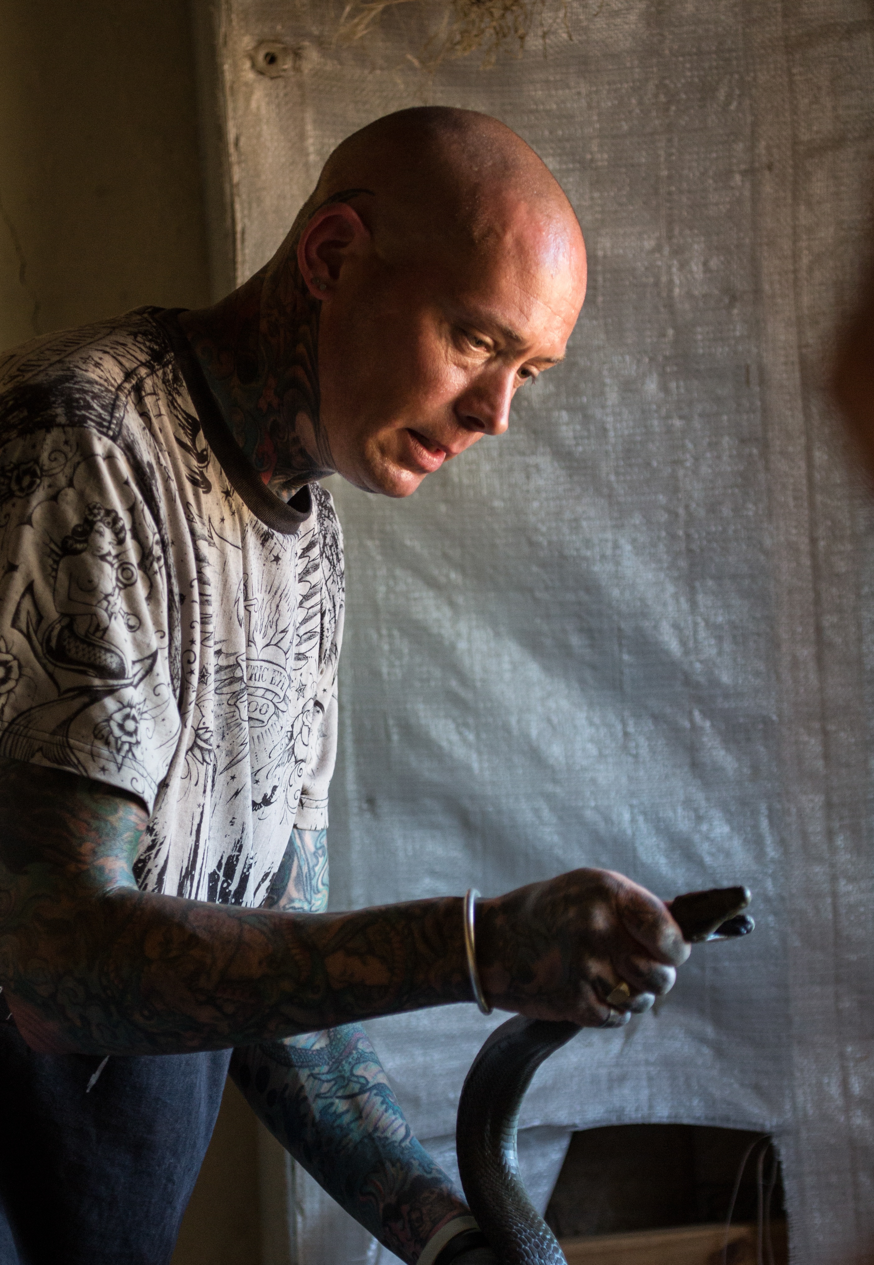 Snakes In The City  Mamba dans mon placard (2).jpg