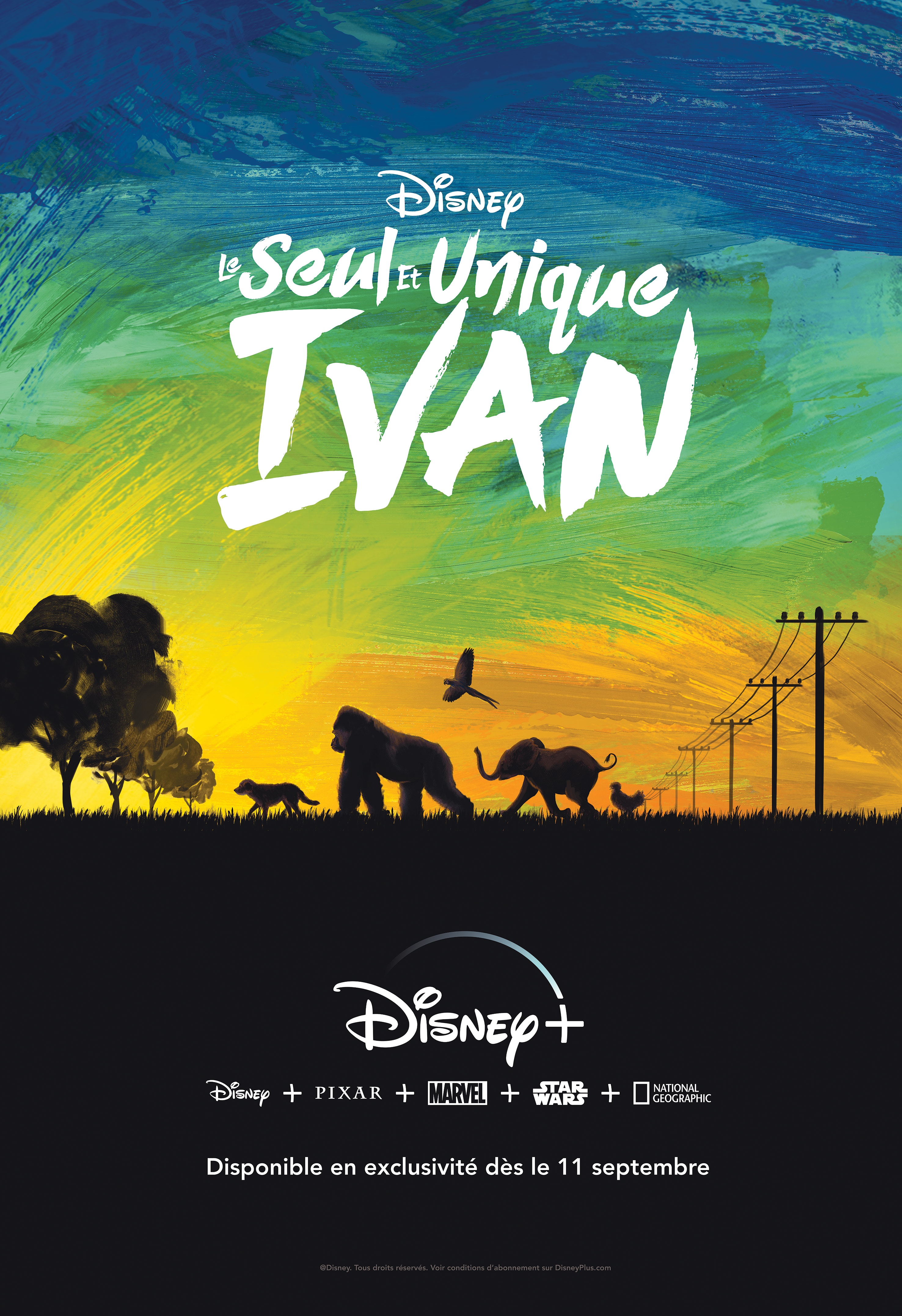IVAN-2m2.JPG