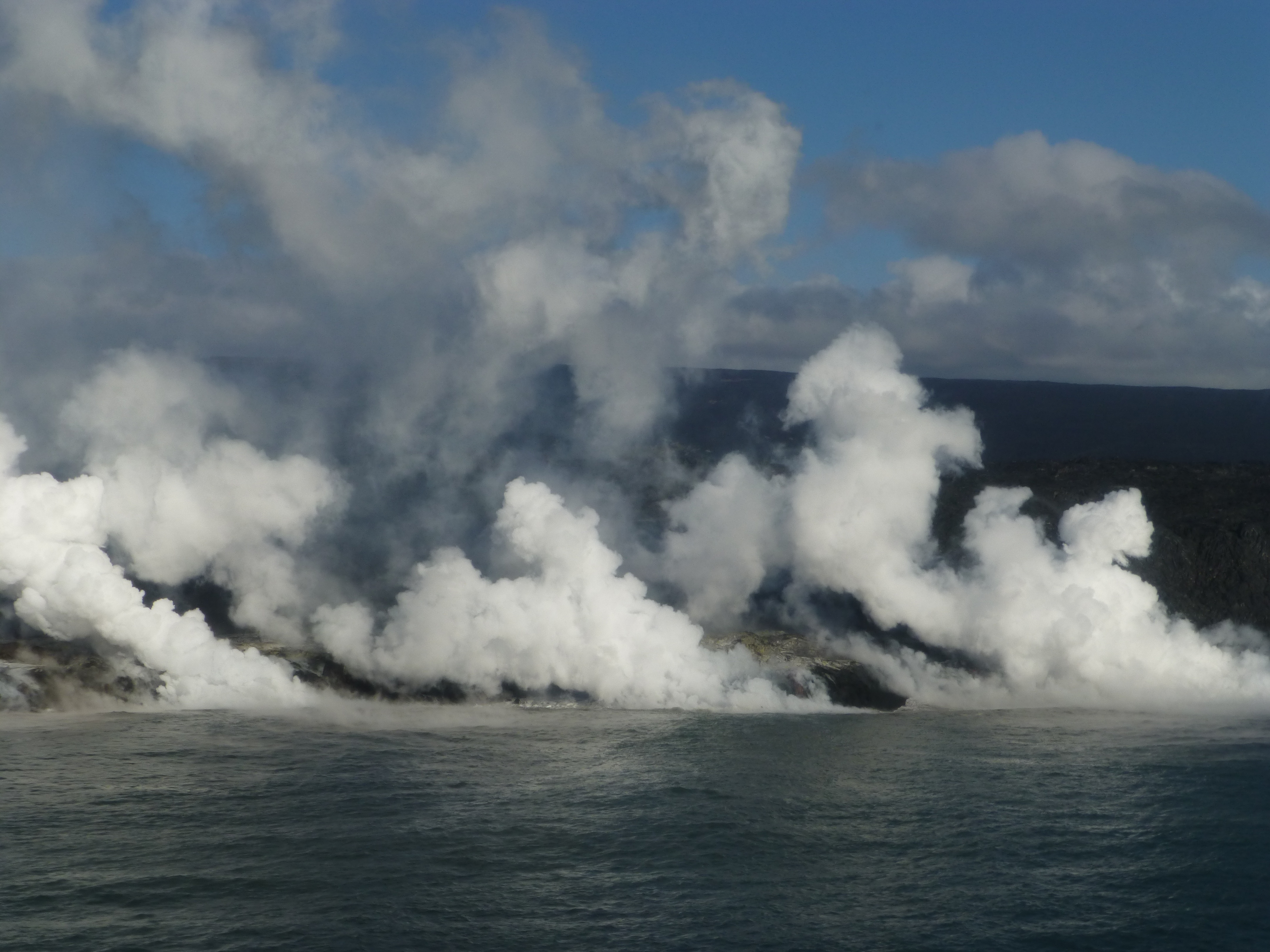 Ep101_014_WildHawaii.jpg