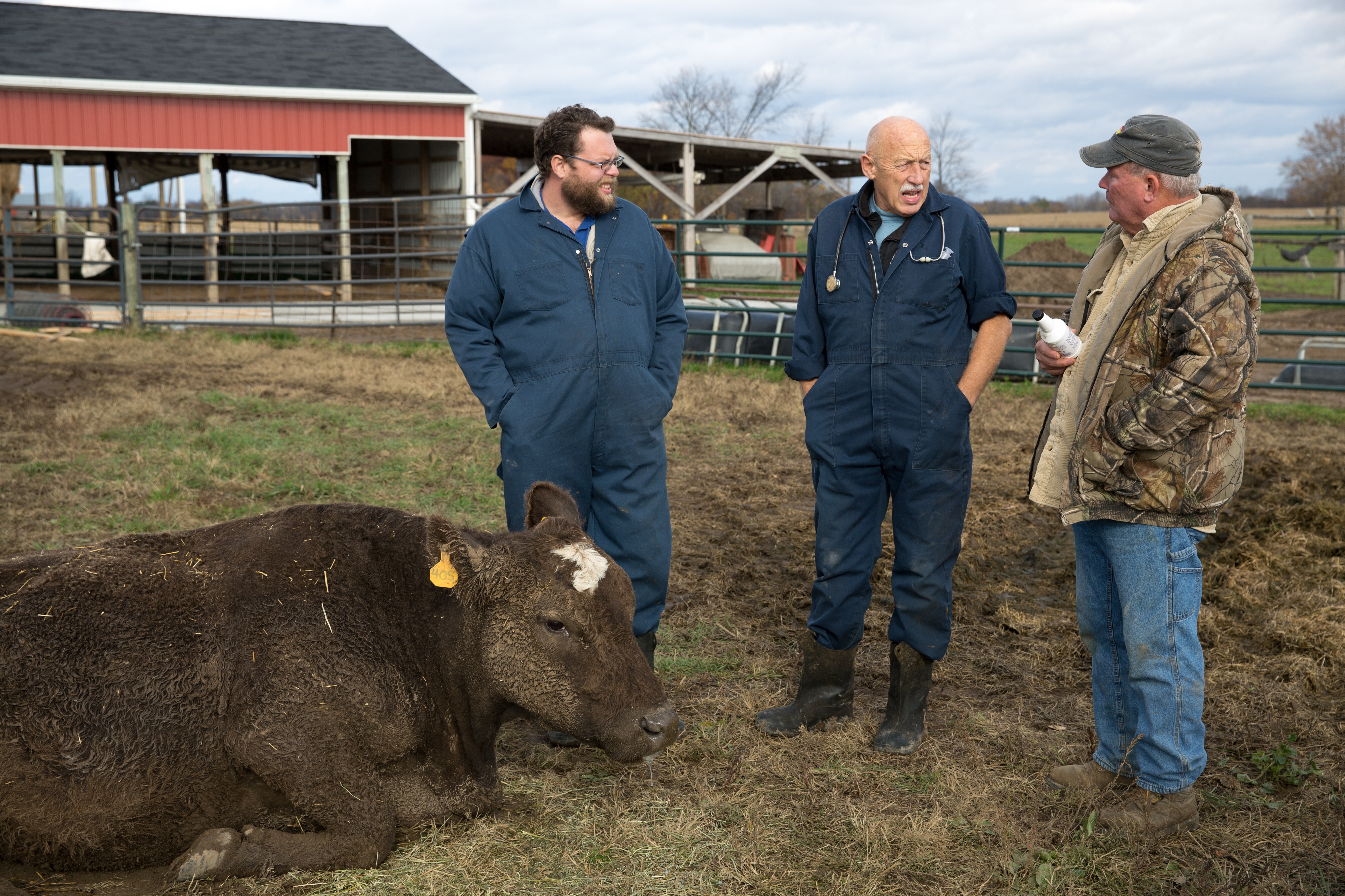 L'incroyable Dr Pol.jpg