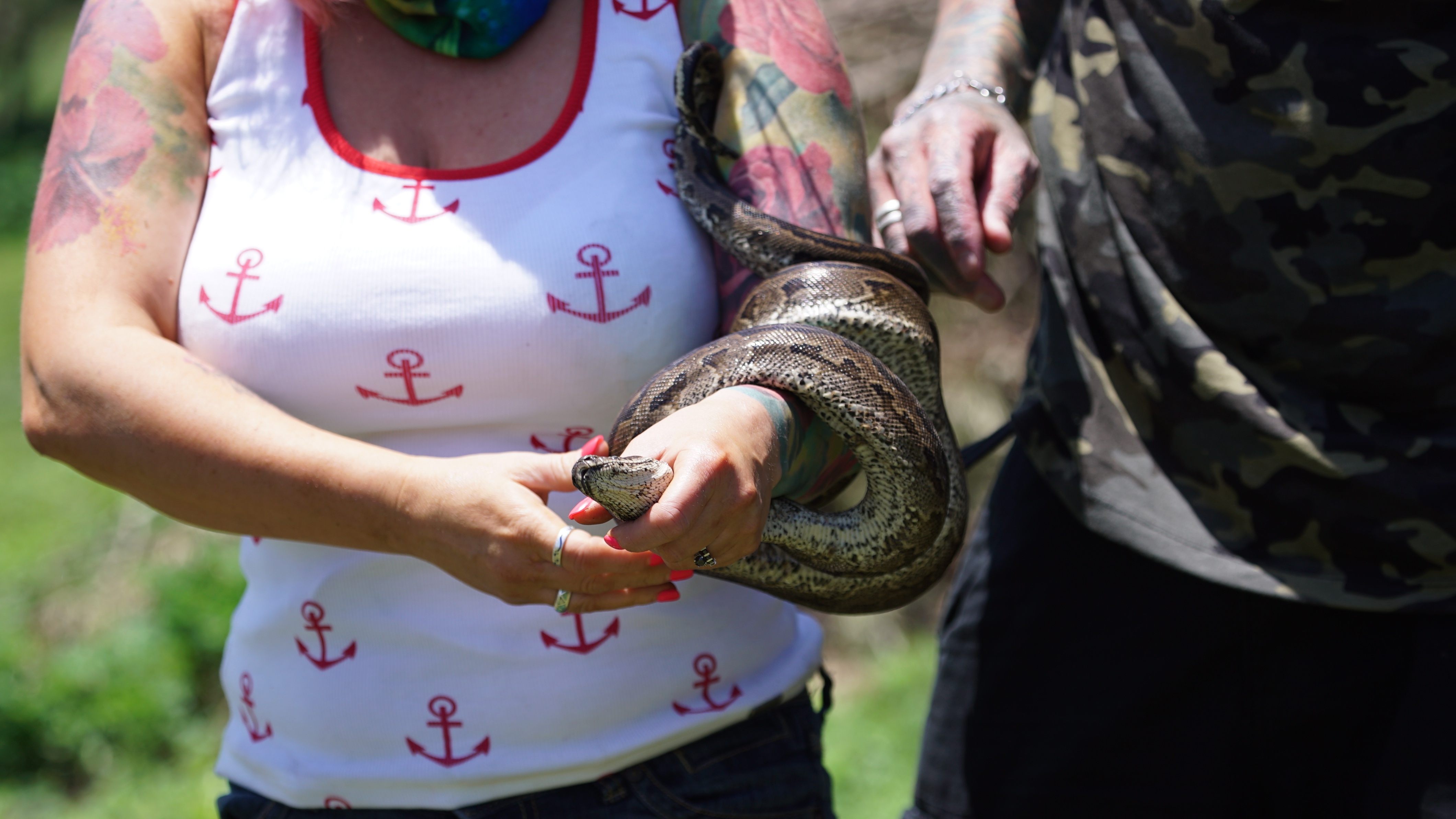 Snakes in the city.jpg