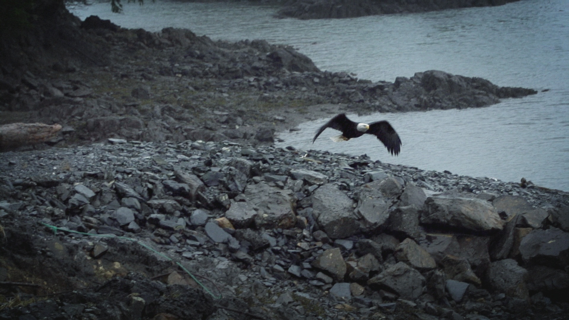 Ep108_LR_013_PortProtection.jpg