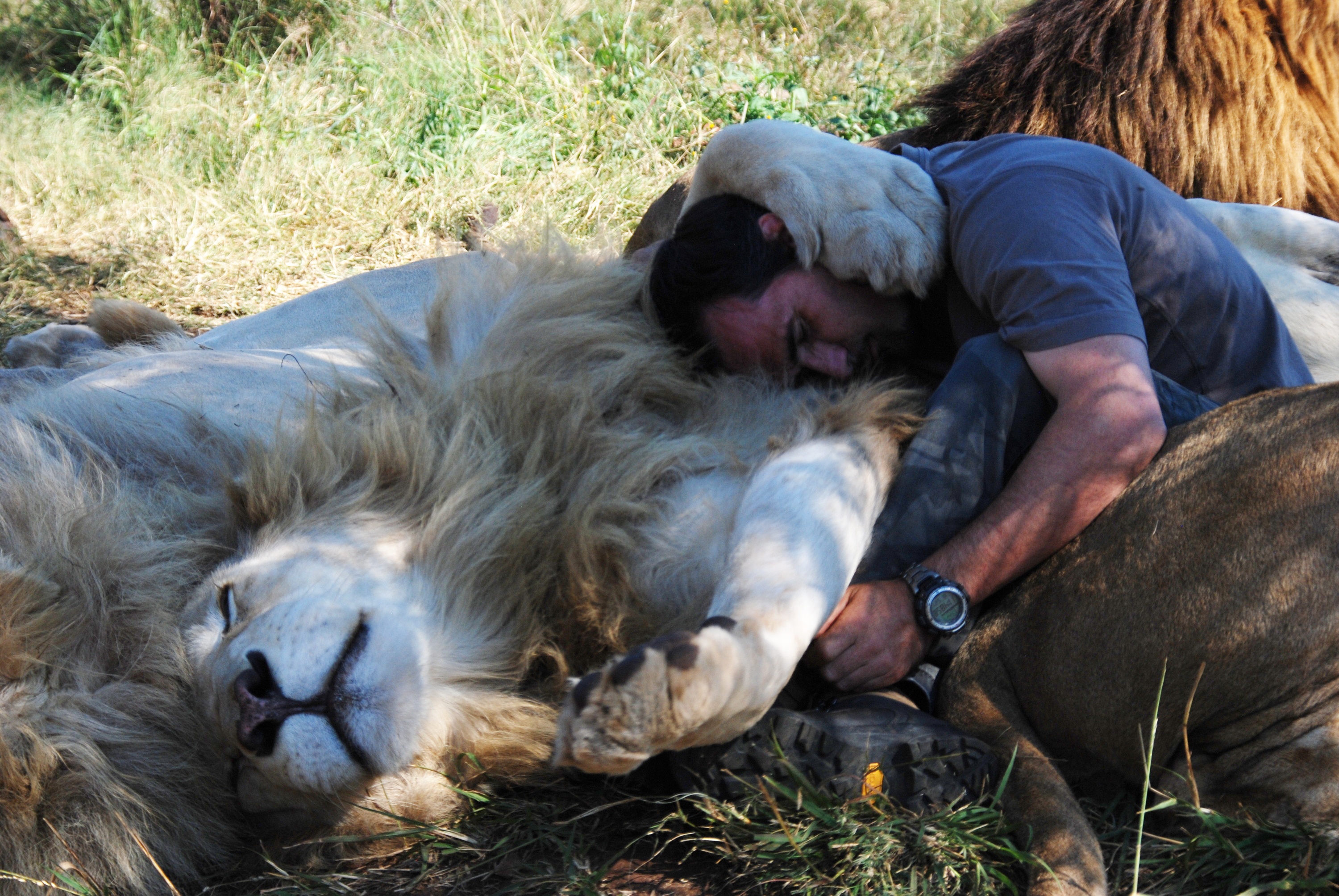 TheLionRangerAllEps_09.JPG