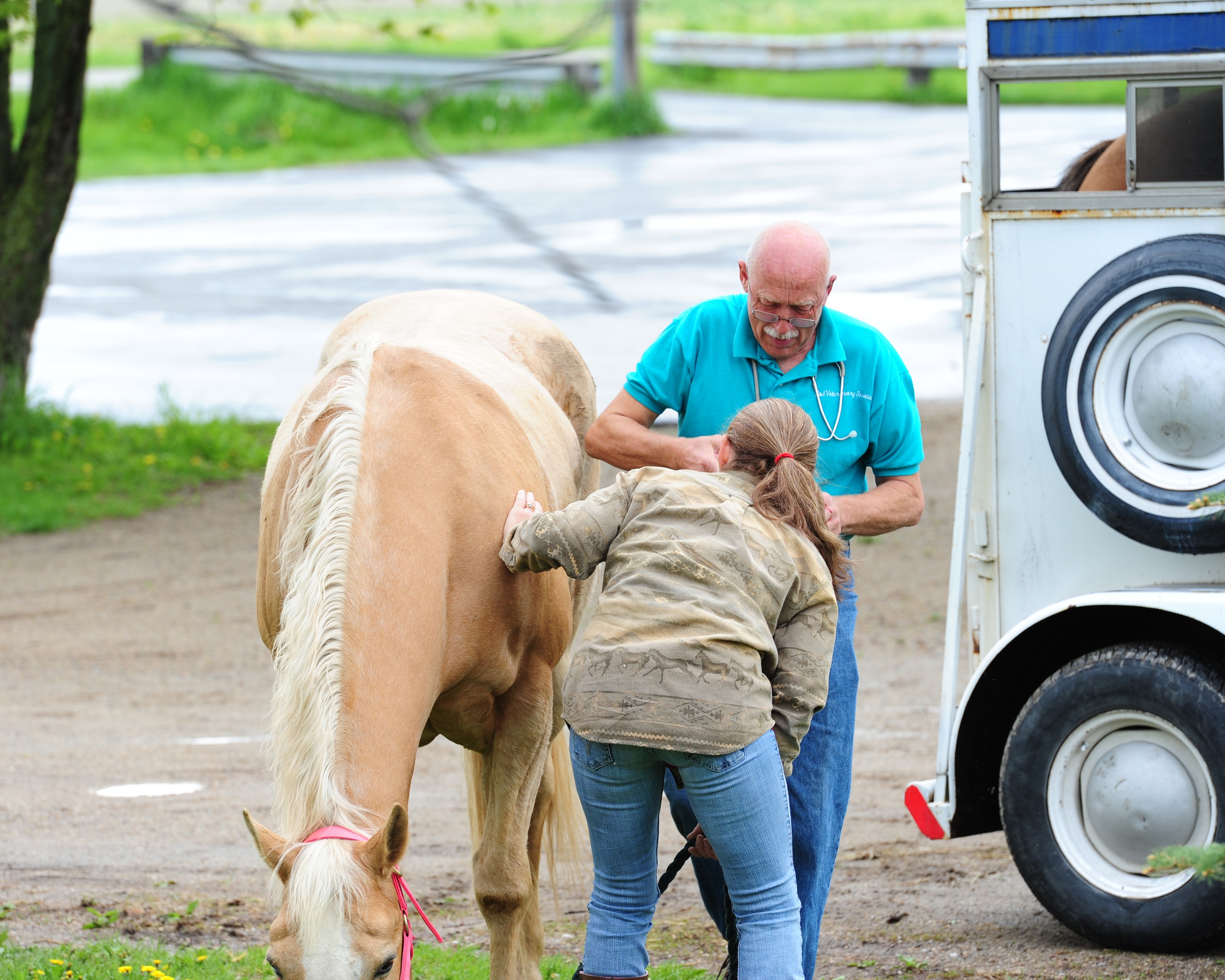 Dr Pol s5ep1_1.JPG