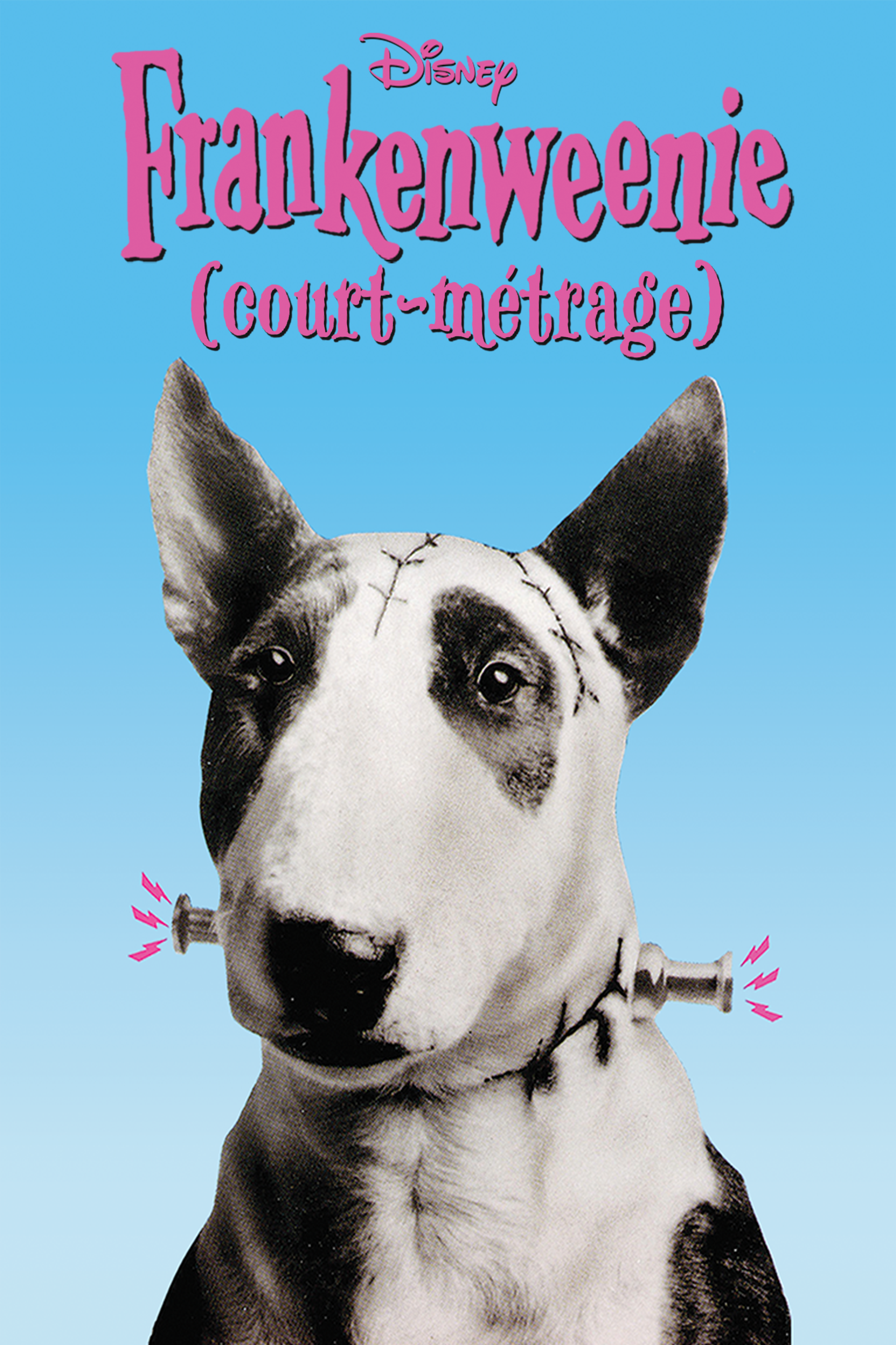 Frankenweenie_1984_FRC_Partners_P67_2000x3000.png