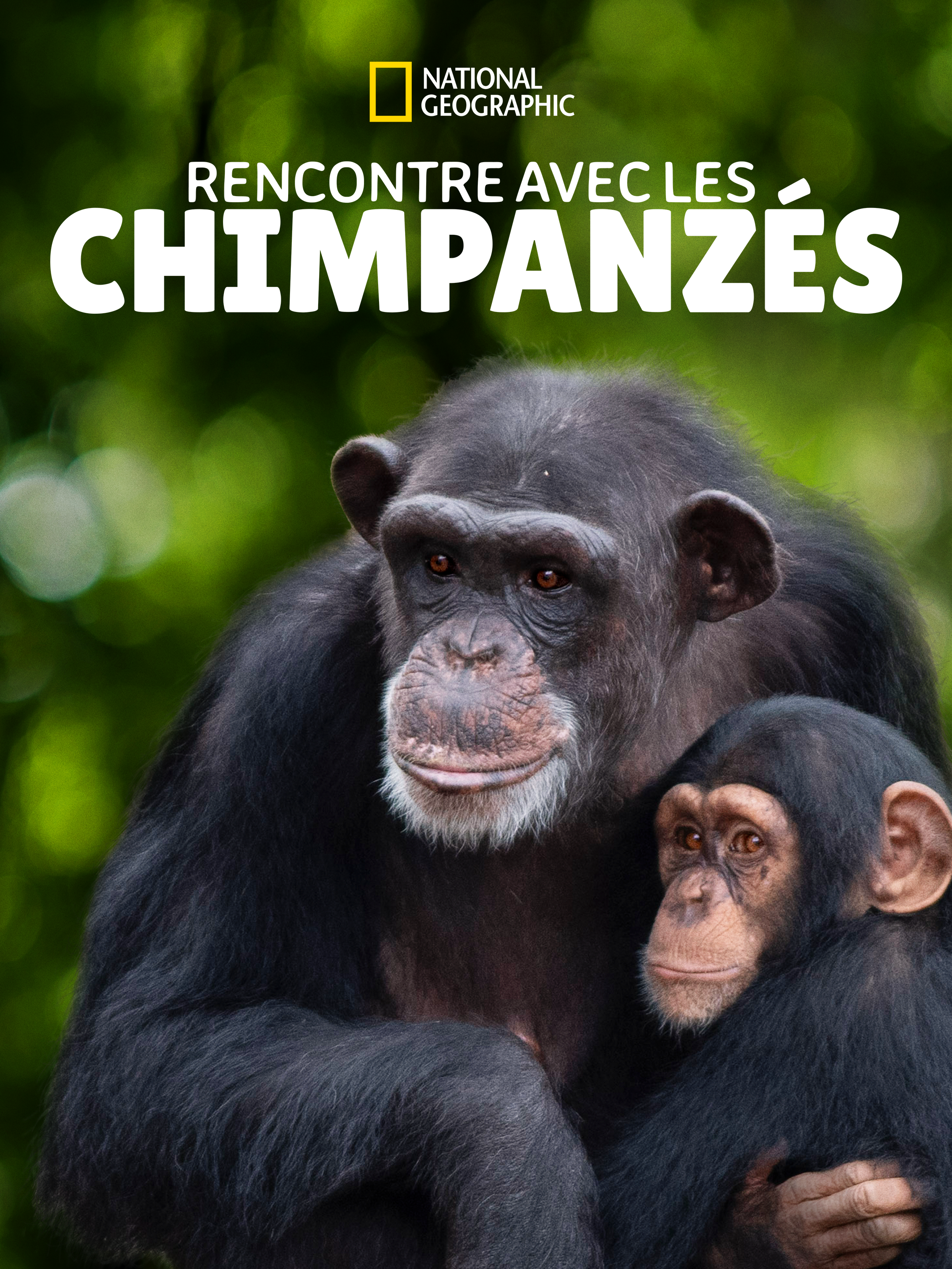 P_Meet_the_Chimps_TA_P0.75_FRP_2160x2880_209492.png