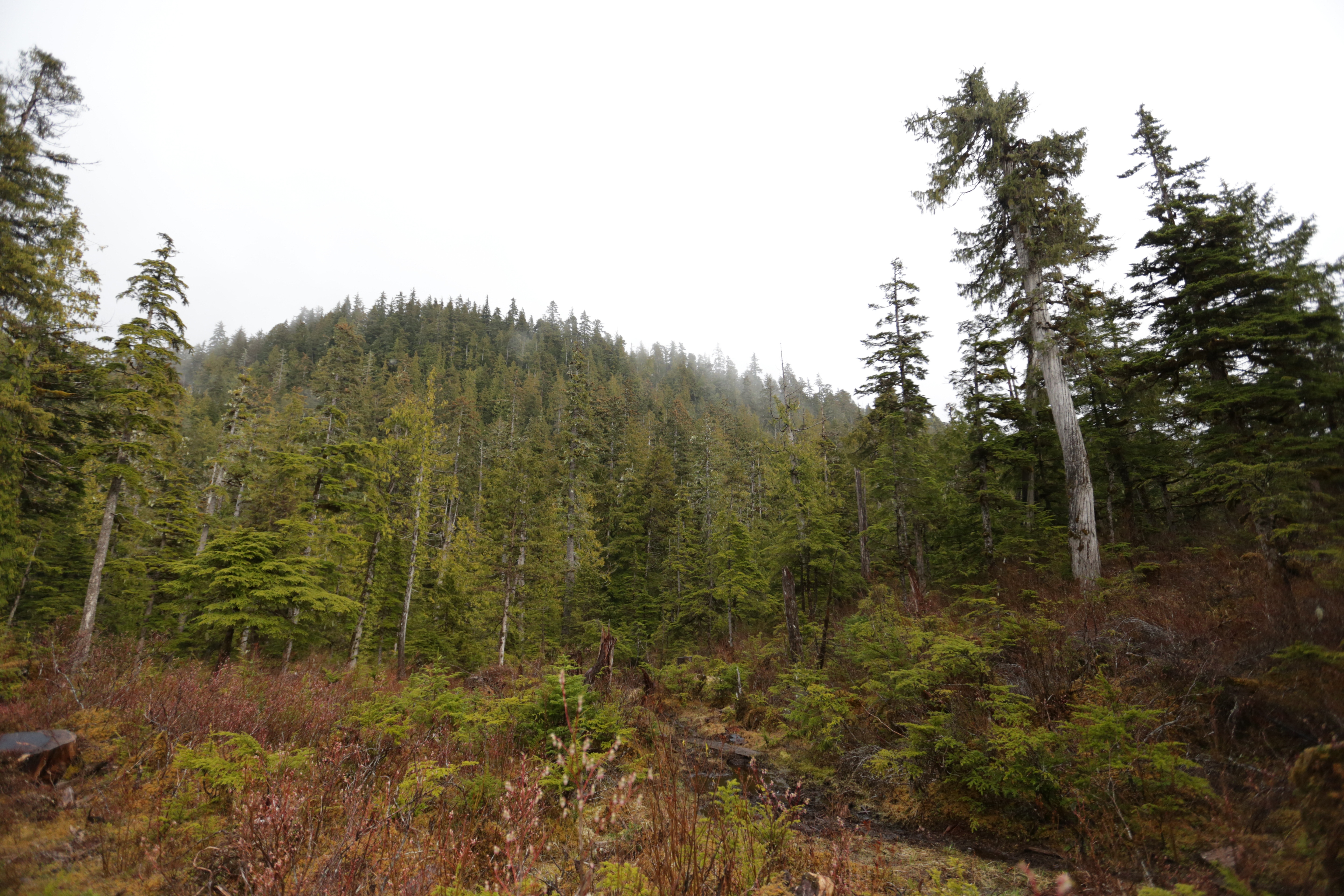 Alaska seuls au monde 2.jpg