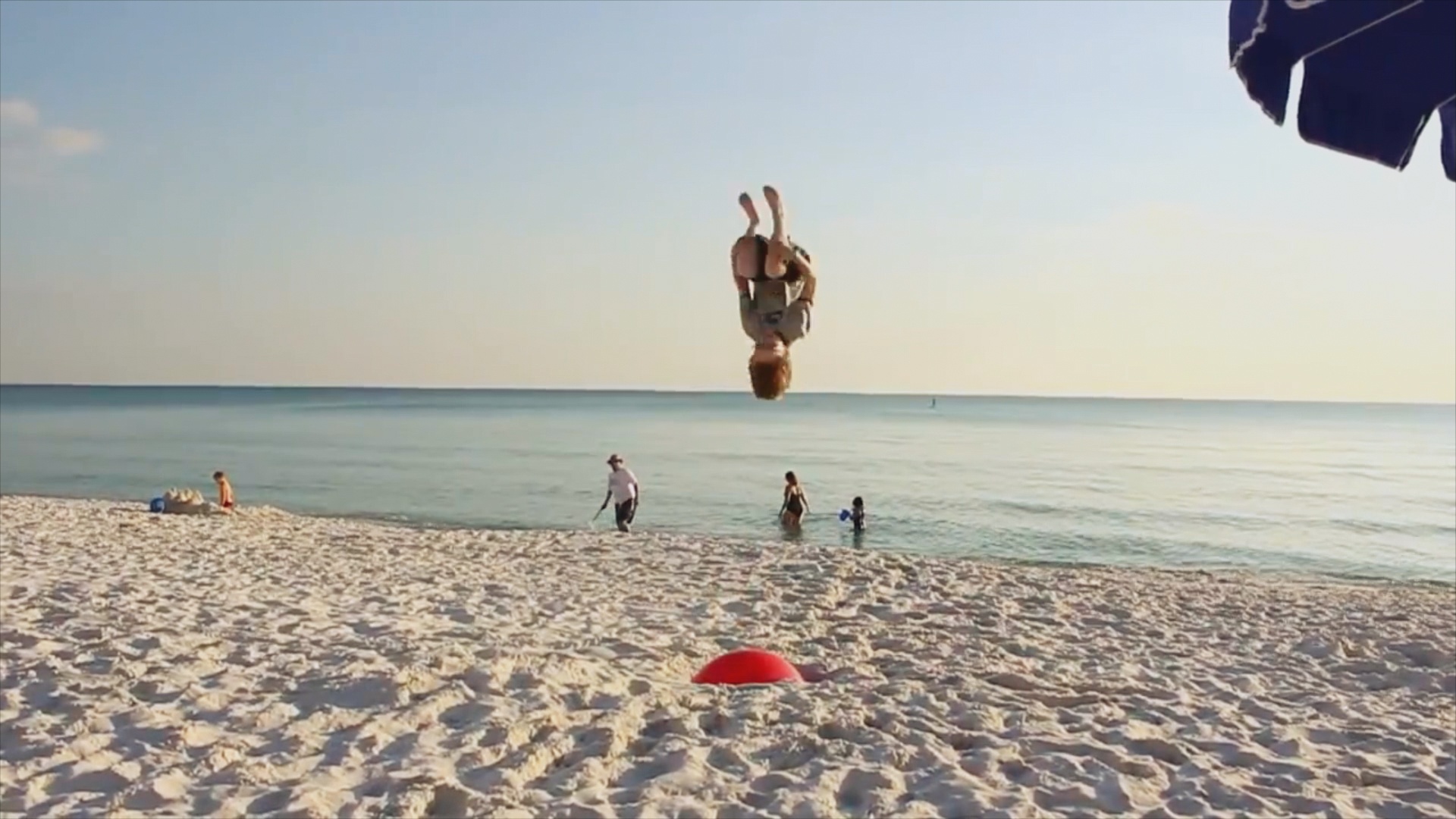 Science of Stupid.jpg