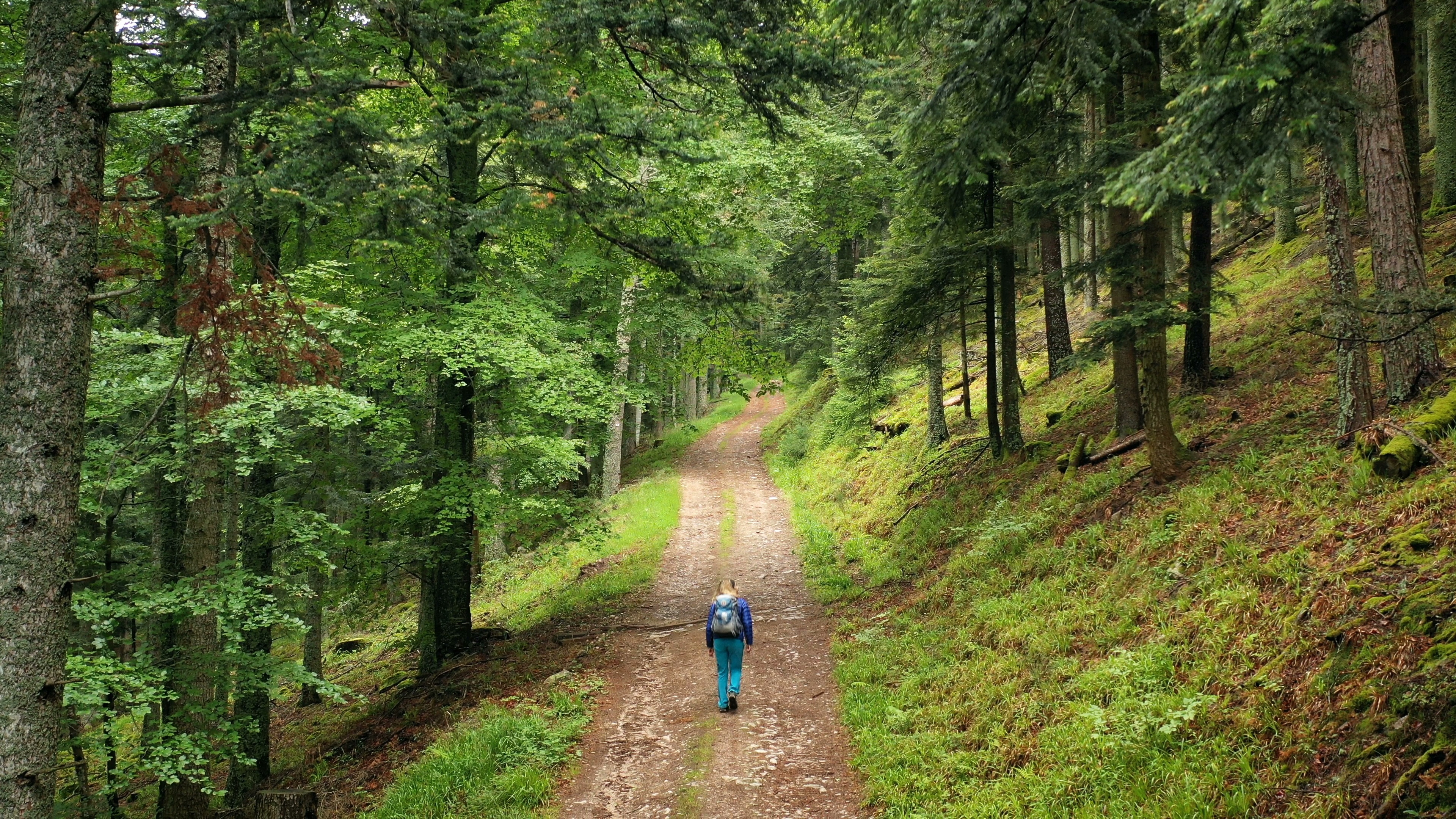 Les plus beaux treks 1.jpeg