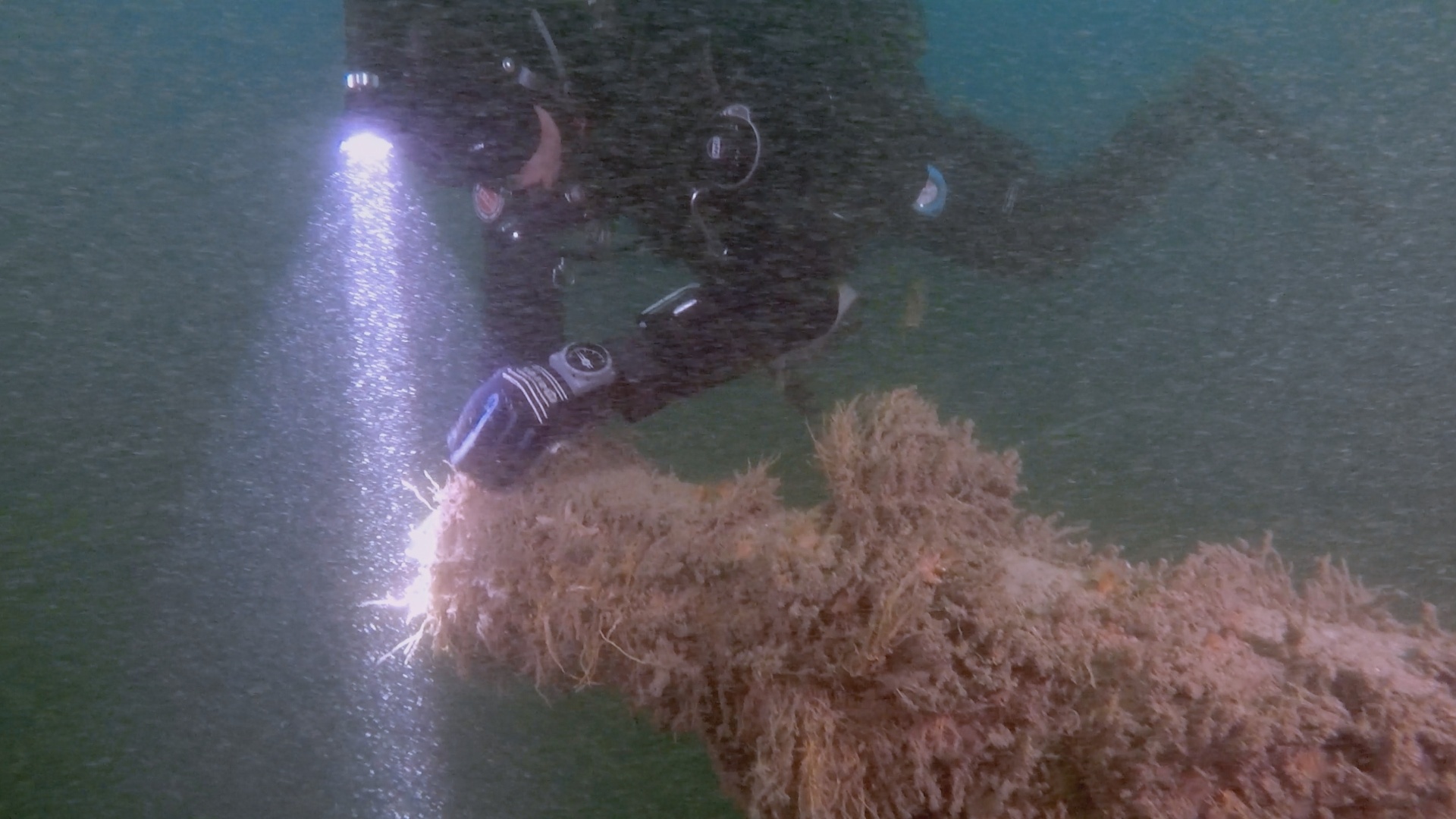 Trésors sous les mers 3.jpg