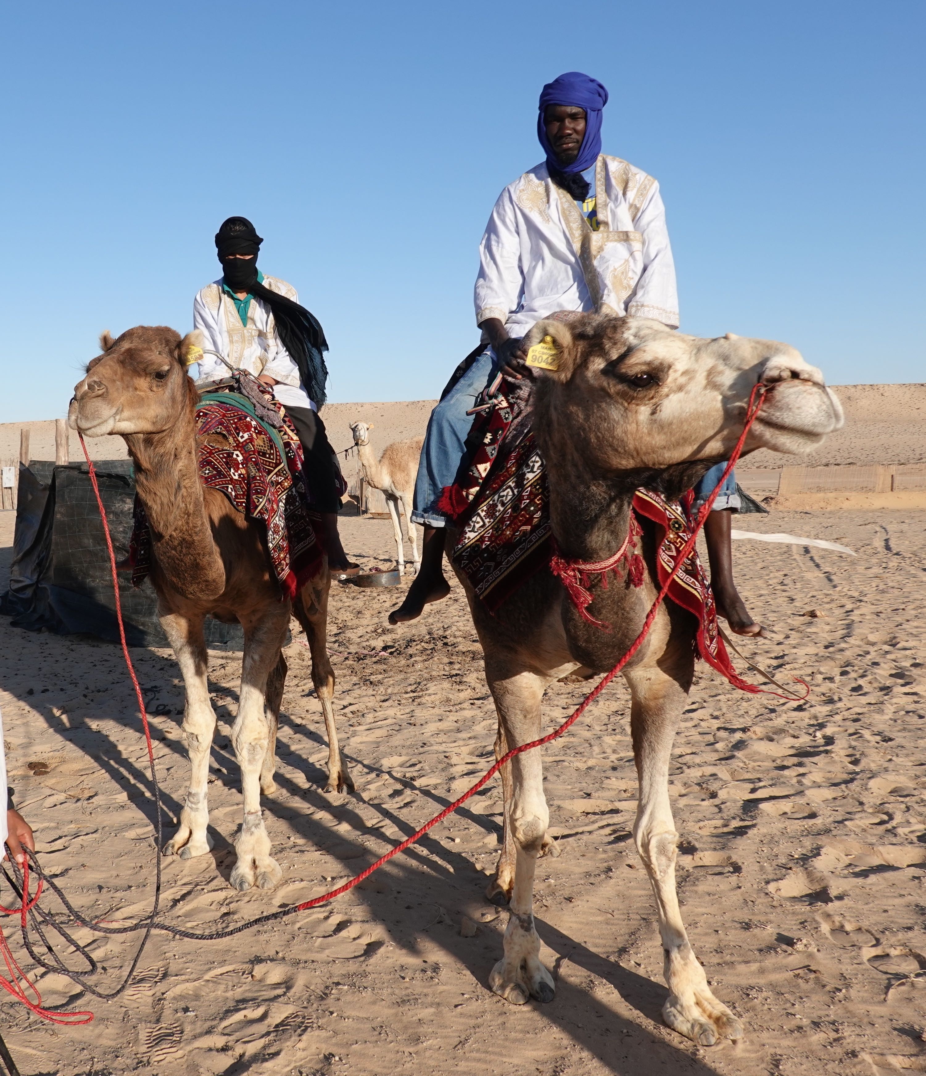 Découvrir le monde Dakhla 3.JPG
