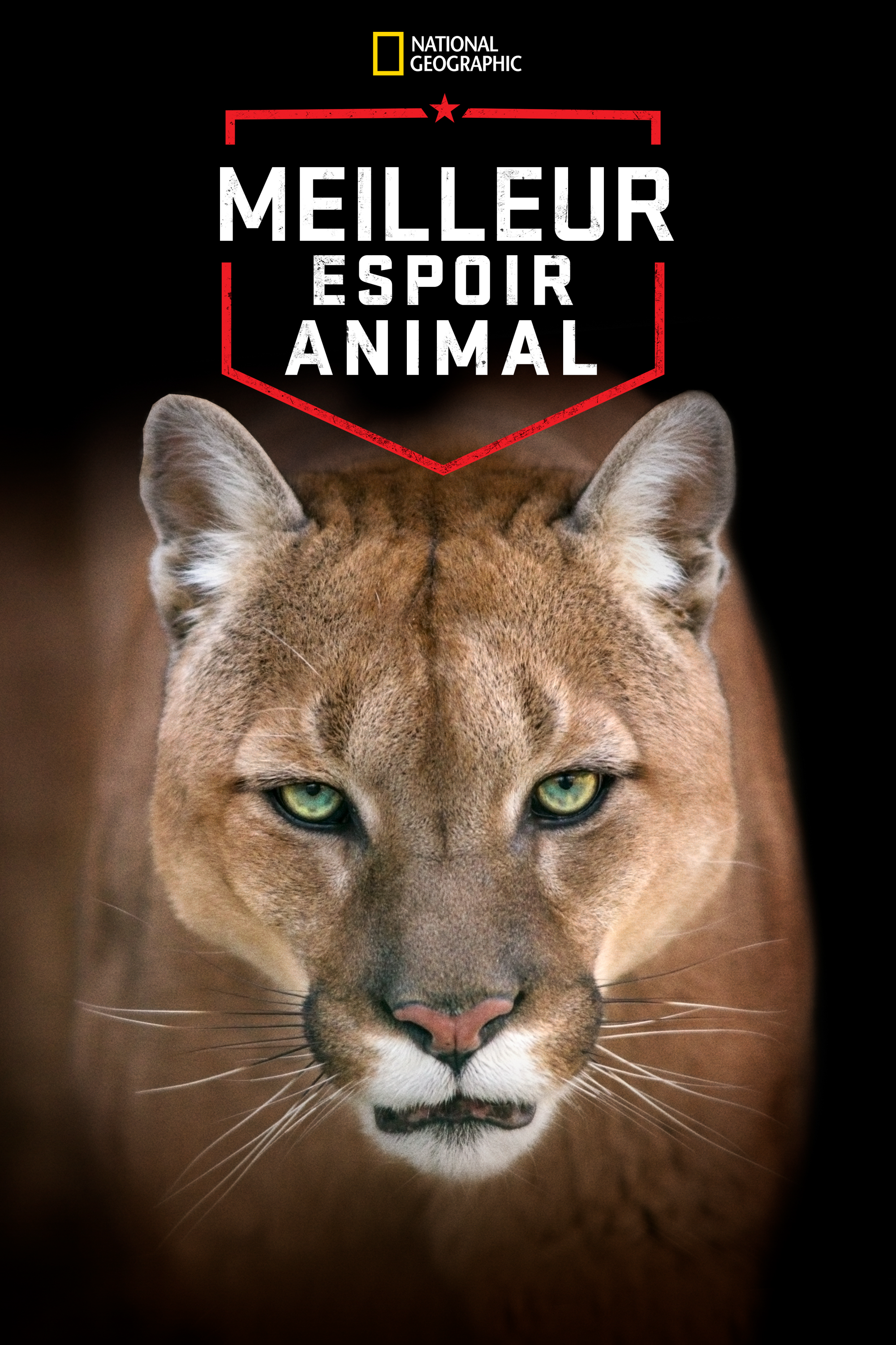 AmericasGreatestAnimals_246154_TA_P67_FRP_FR_P.png