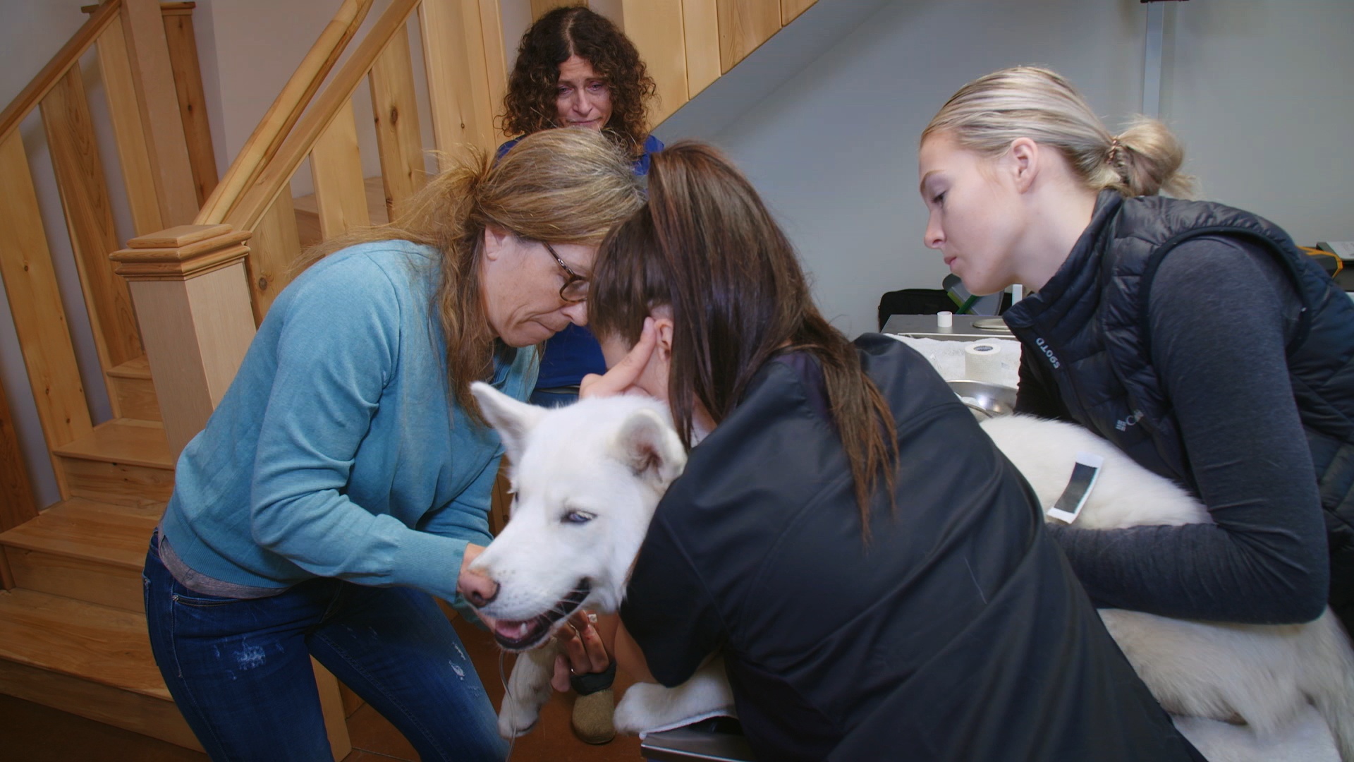 LawOfTheClaw_614_DrOakleyYukonVet_LR_1.JPG
