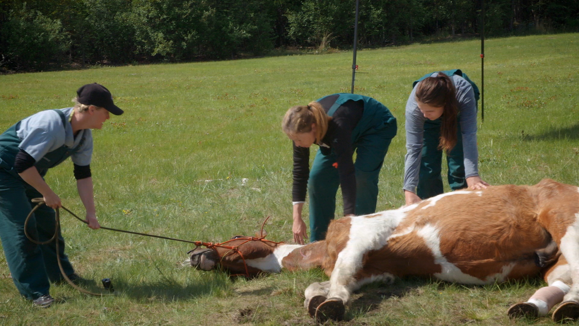 LawOfTheClaw_614_DrOakleyYukonVet_LR_2.JPG