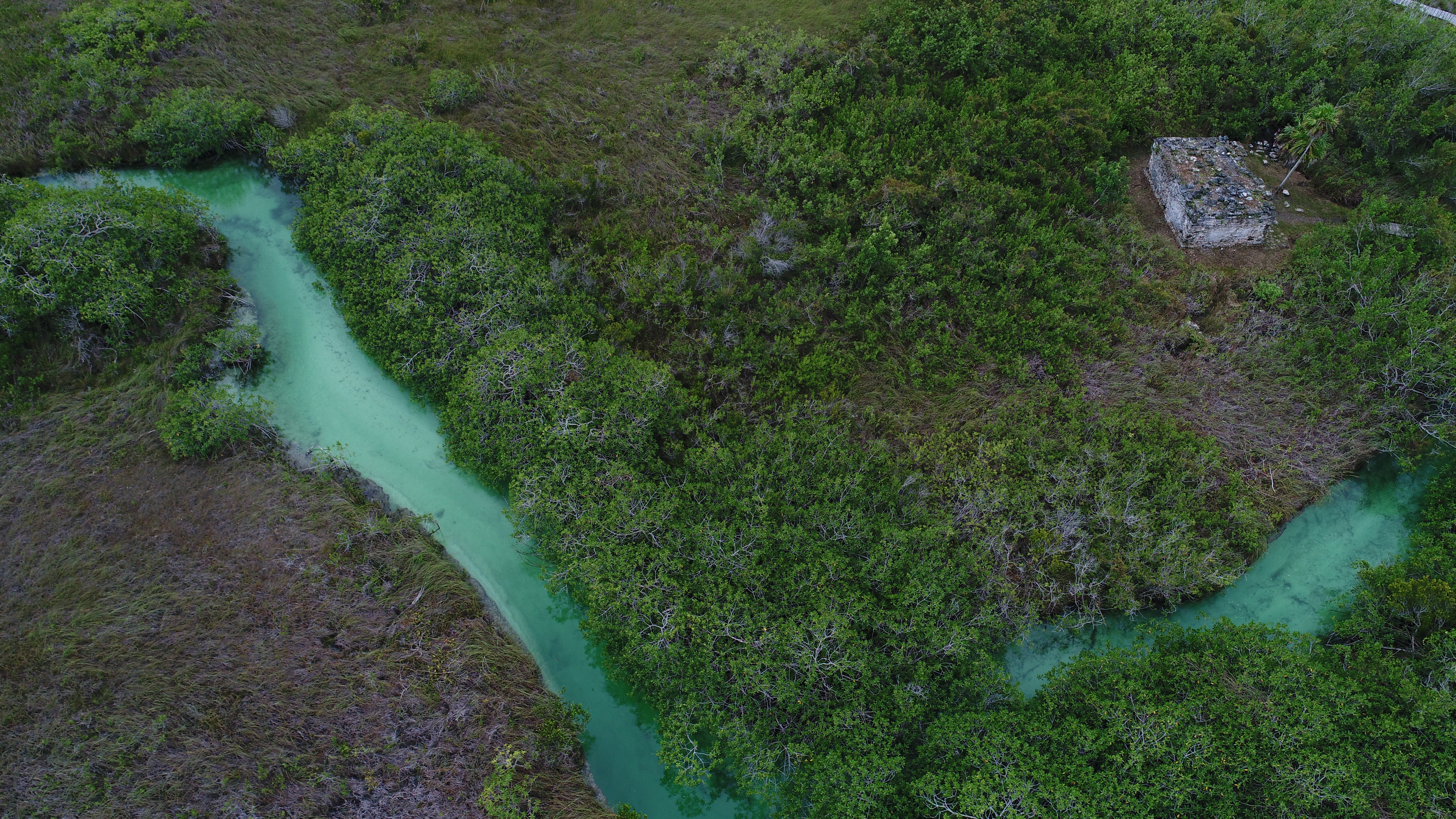 Trésors vus du ciel  Le monde secret du Yucatan 2.JPG