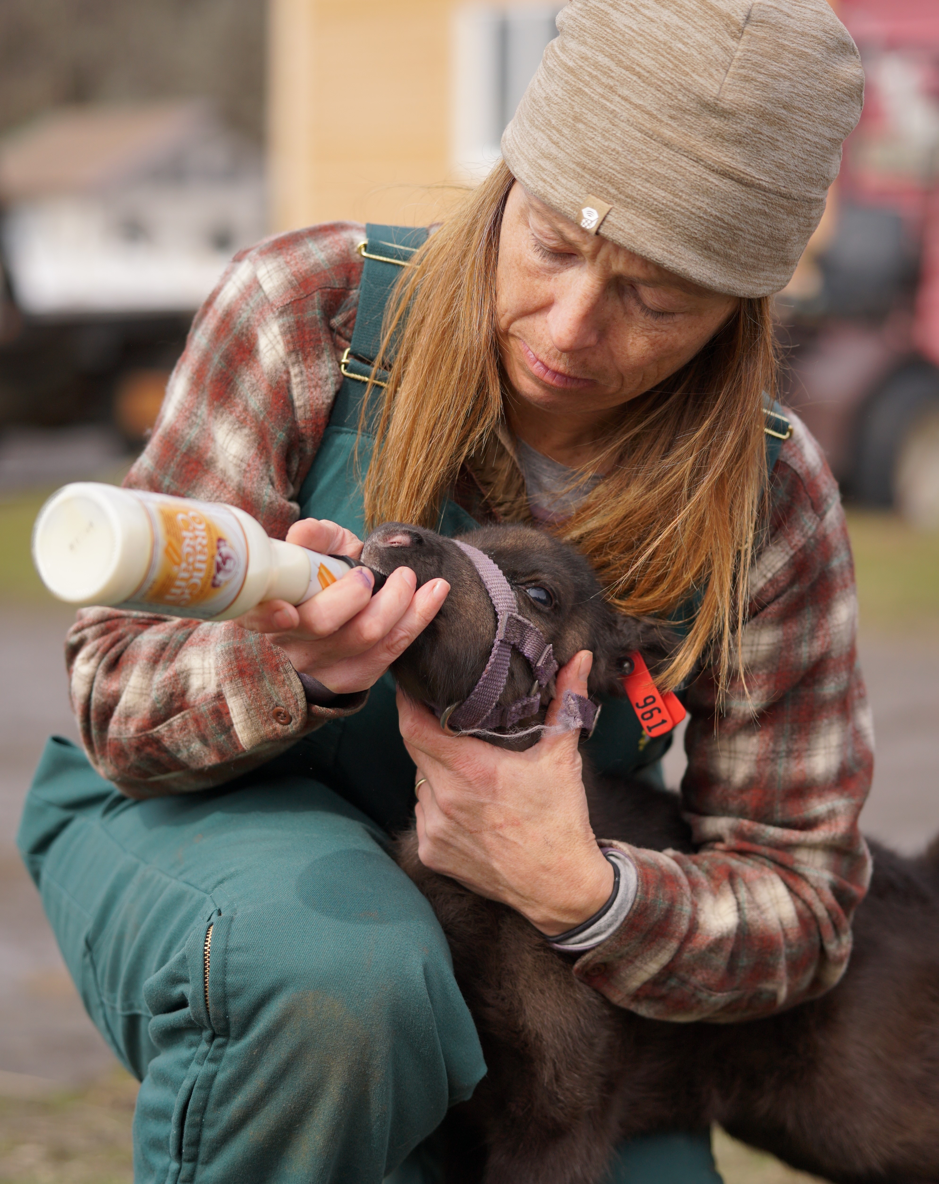609_DrOakleyYukonVet_07.jpg