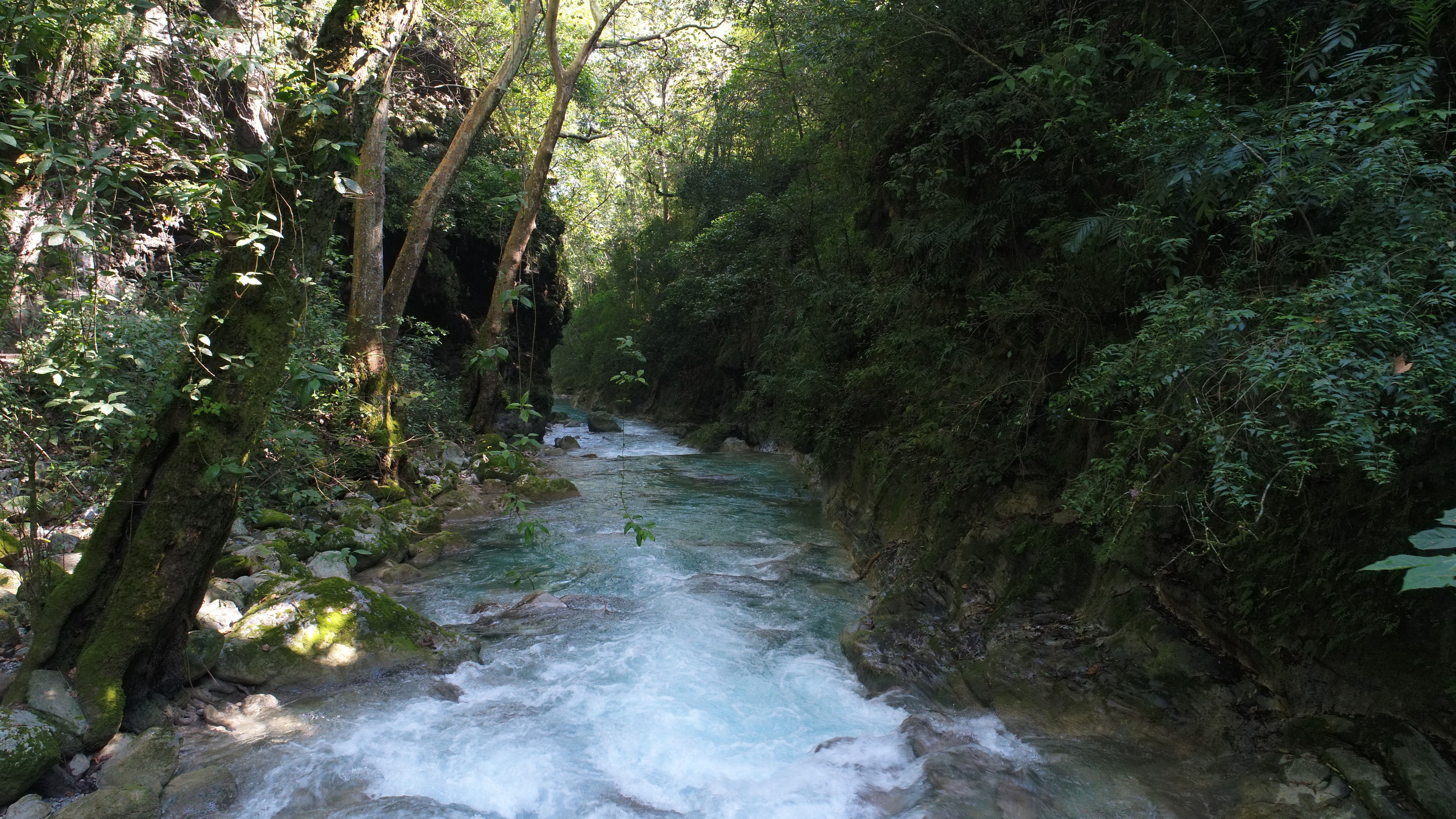 Trésors vus du ciel  Au cœur de la Sierra Gorda 1.JPG