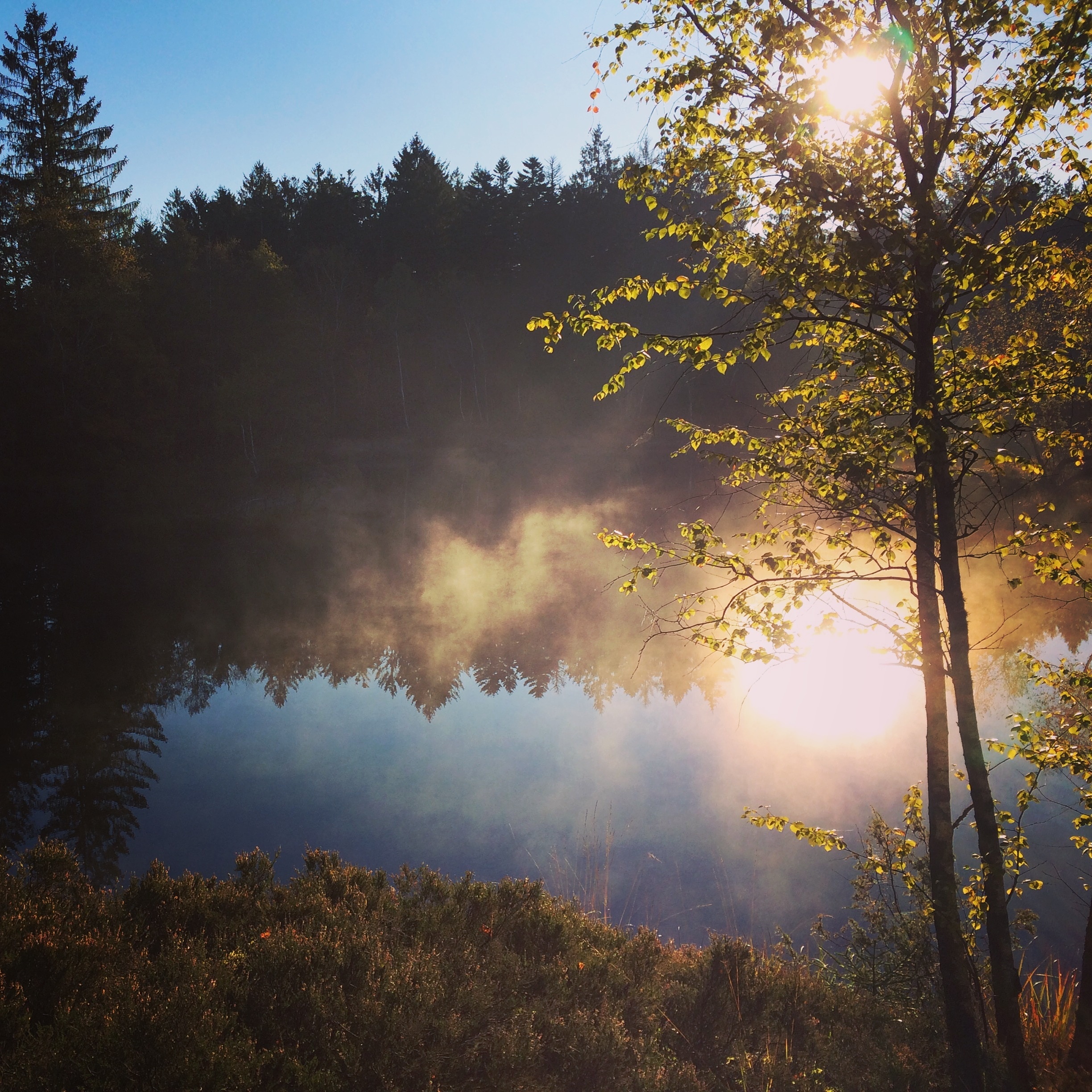 Echappées belles  Echappée en Franche-Comté 2.JPG