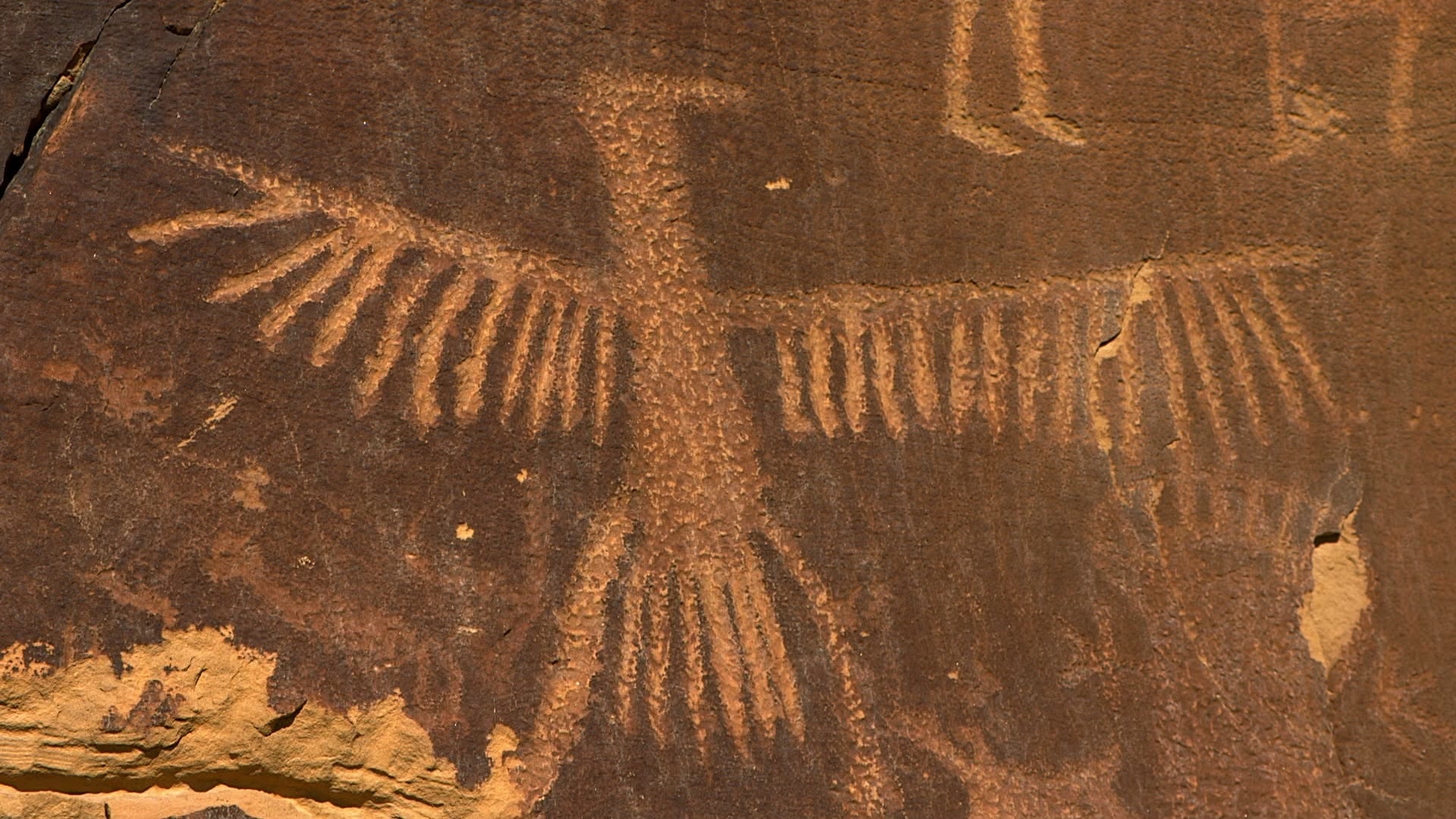 Amérique inexplorée  a2.jpg