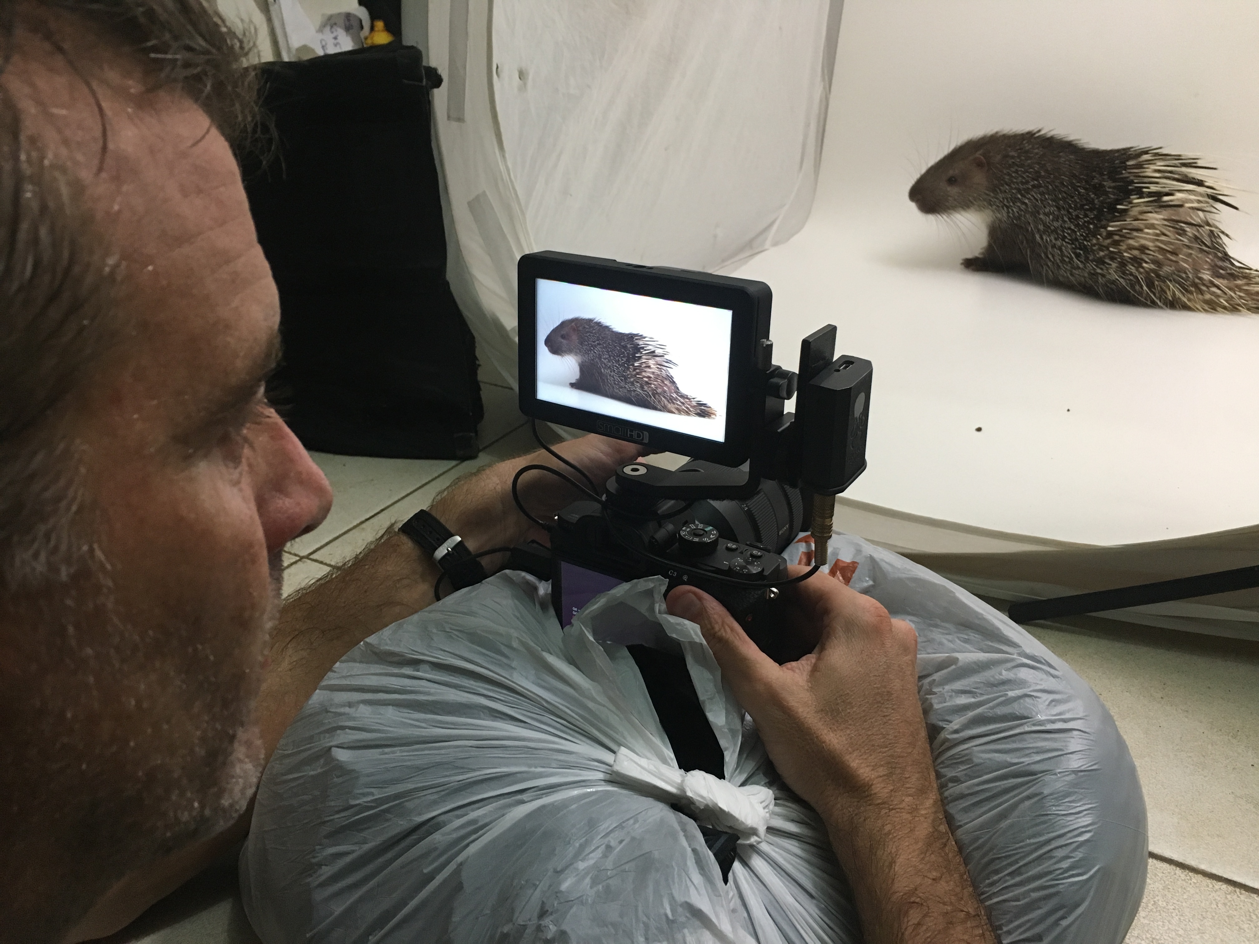Ep202_PhotoArk_019.JPG