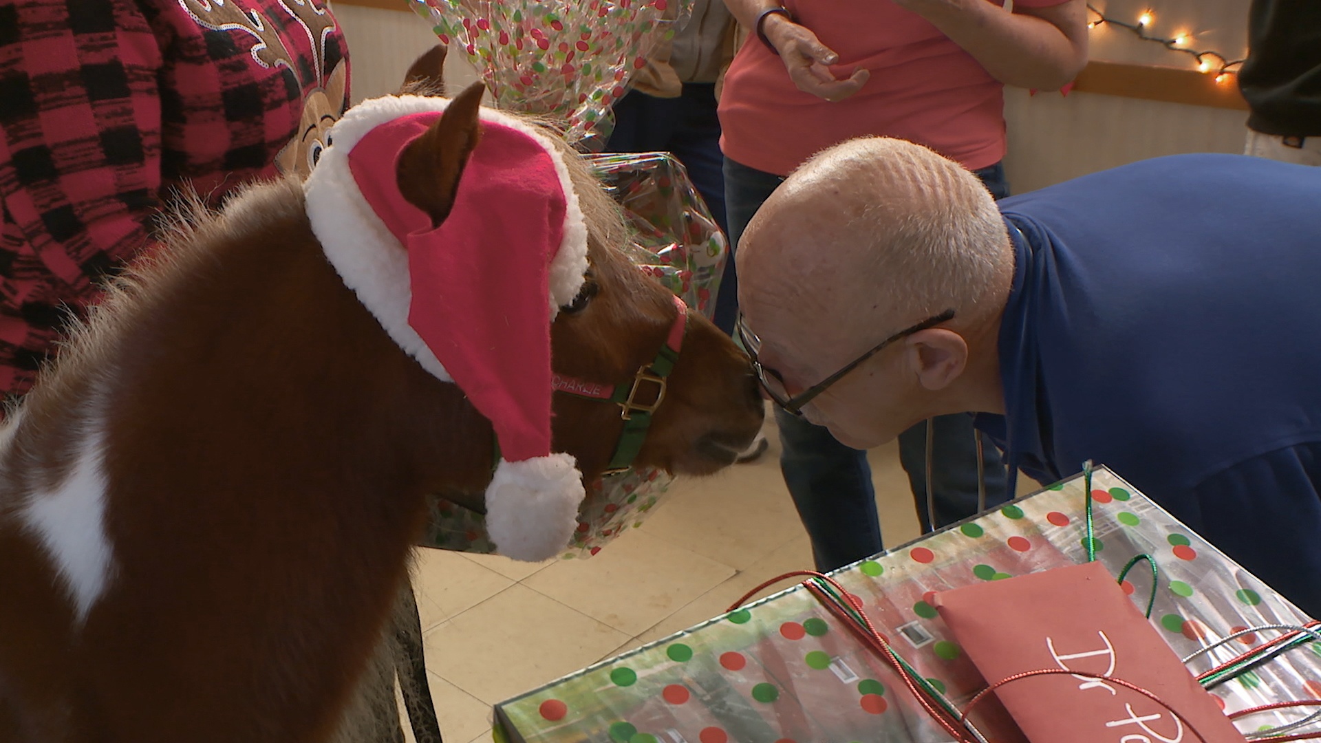 FrostyPolMan_IncredibleDrPol_Ep709_SG_02.jpg