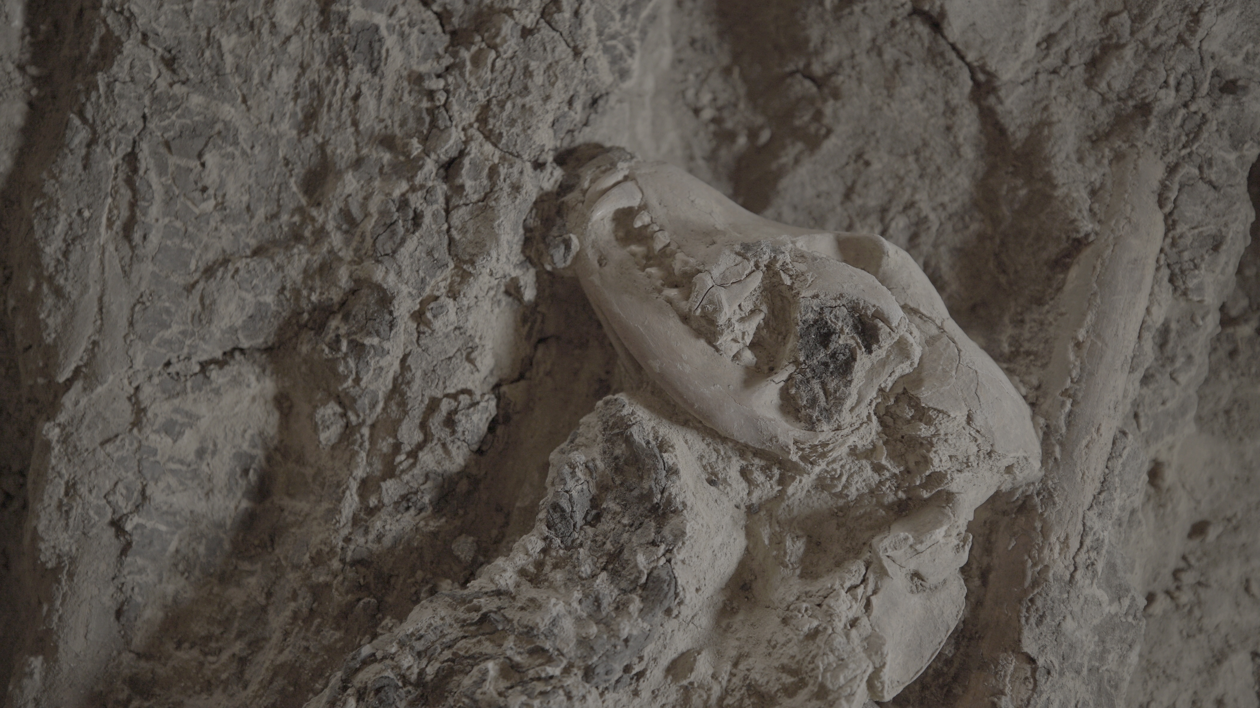 Ep203_MysteriesOf TheSphinx_LostTreasuresOfEgypt_05.jpg