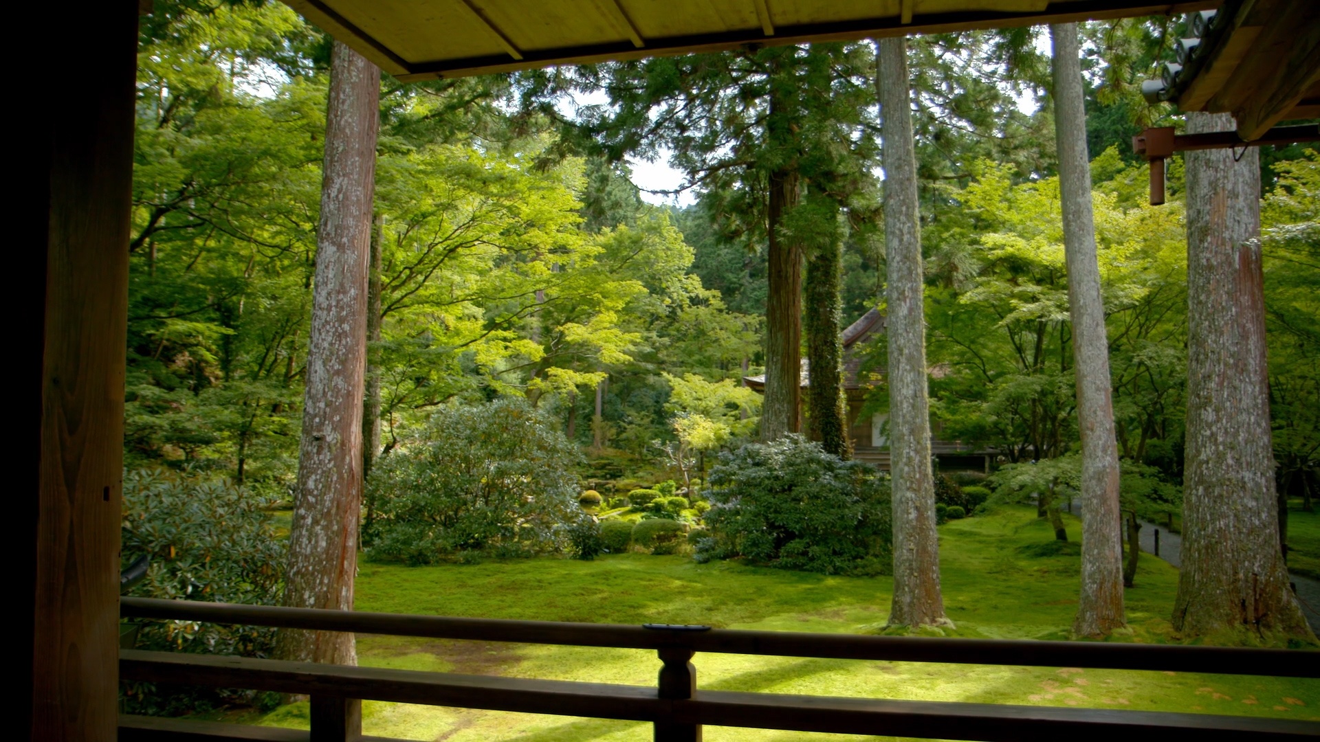 Voyage à travers les couleurs  Le Japon en vert (4).jpg